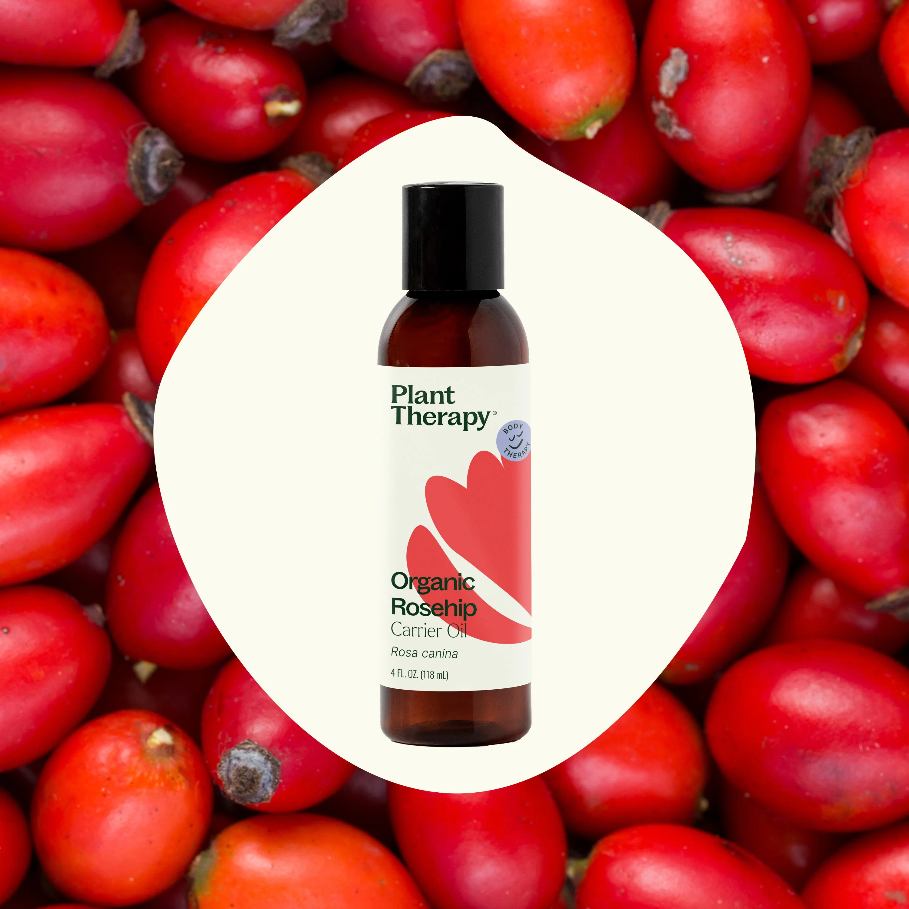 Organic Rosehip Carrier Oil Extra Virgin - Image 3
