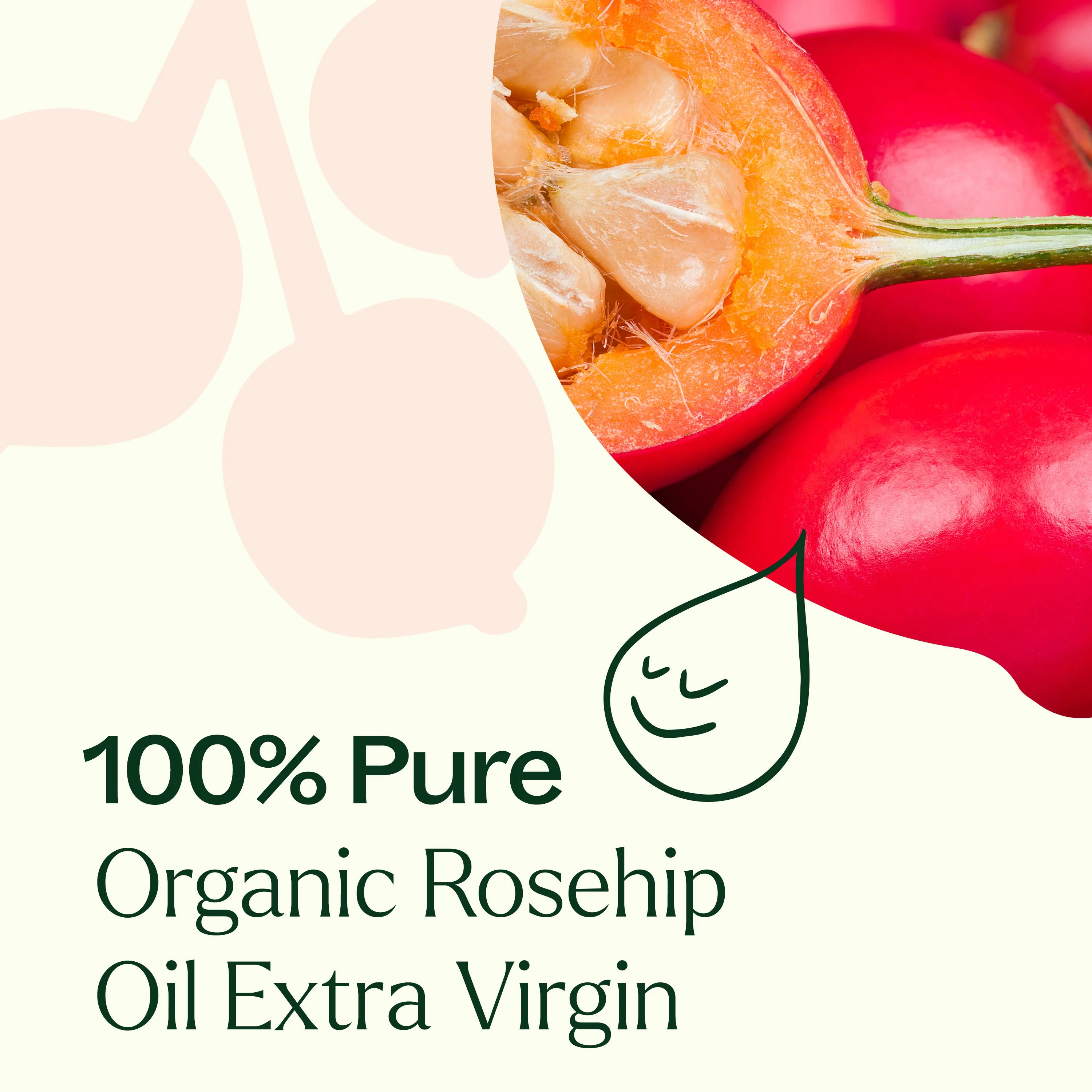 Organic Rosehip Carrier Oil Extra Virgin - Image 7