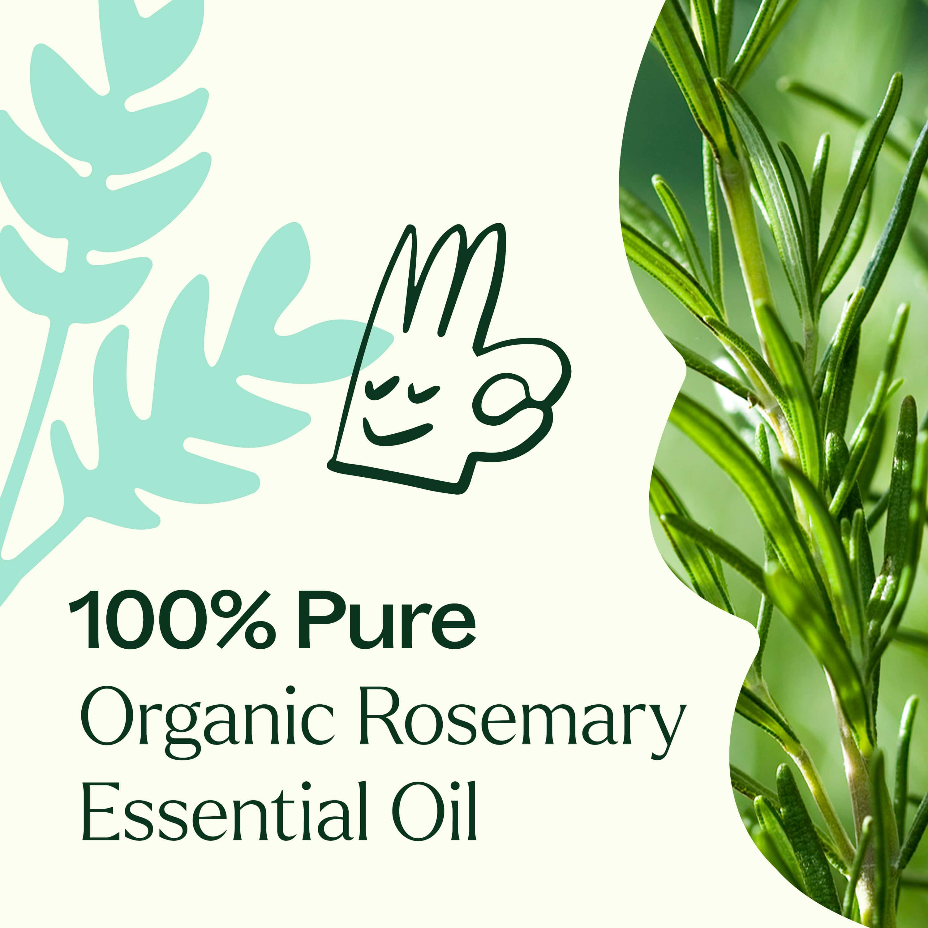 Organic Rosemary 1,8-Cineole Essential Oil - Image 4
