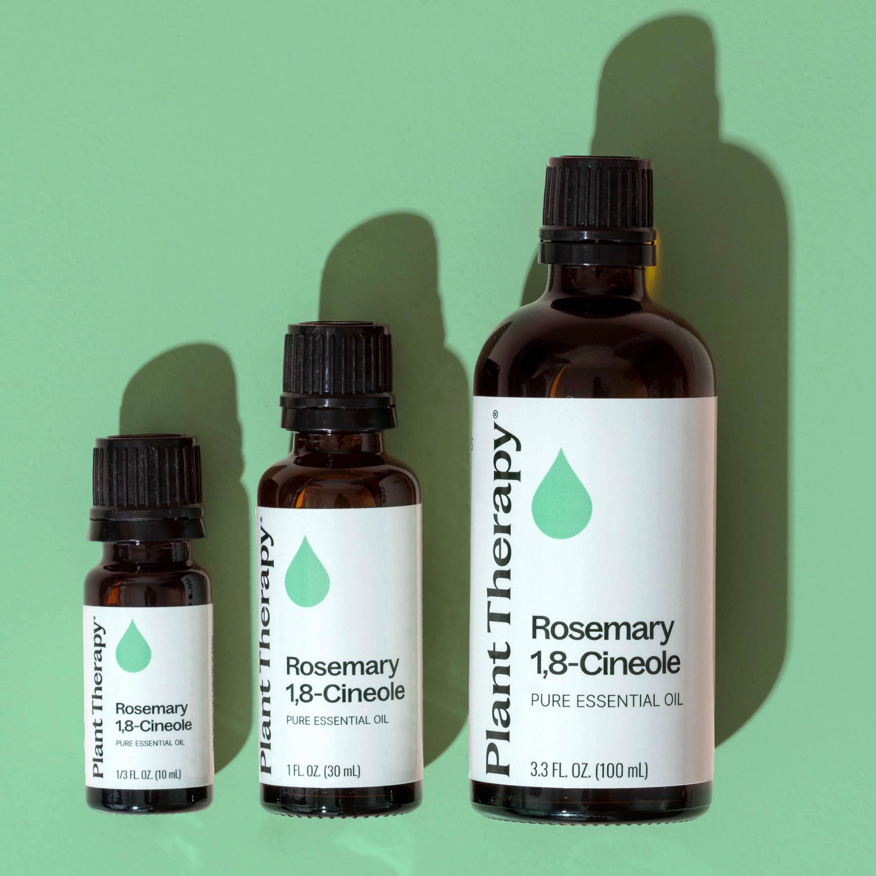 Organic Rosemary 1,8-Cineole Essential Oil - Image 6