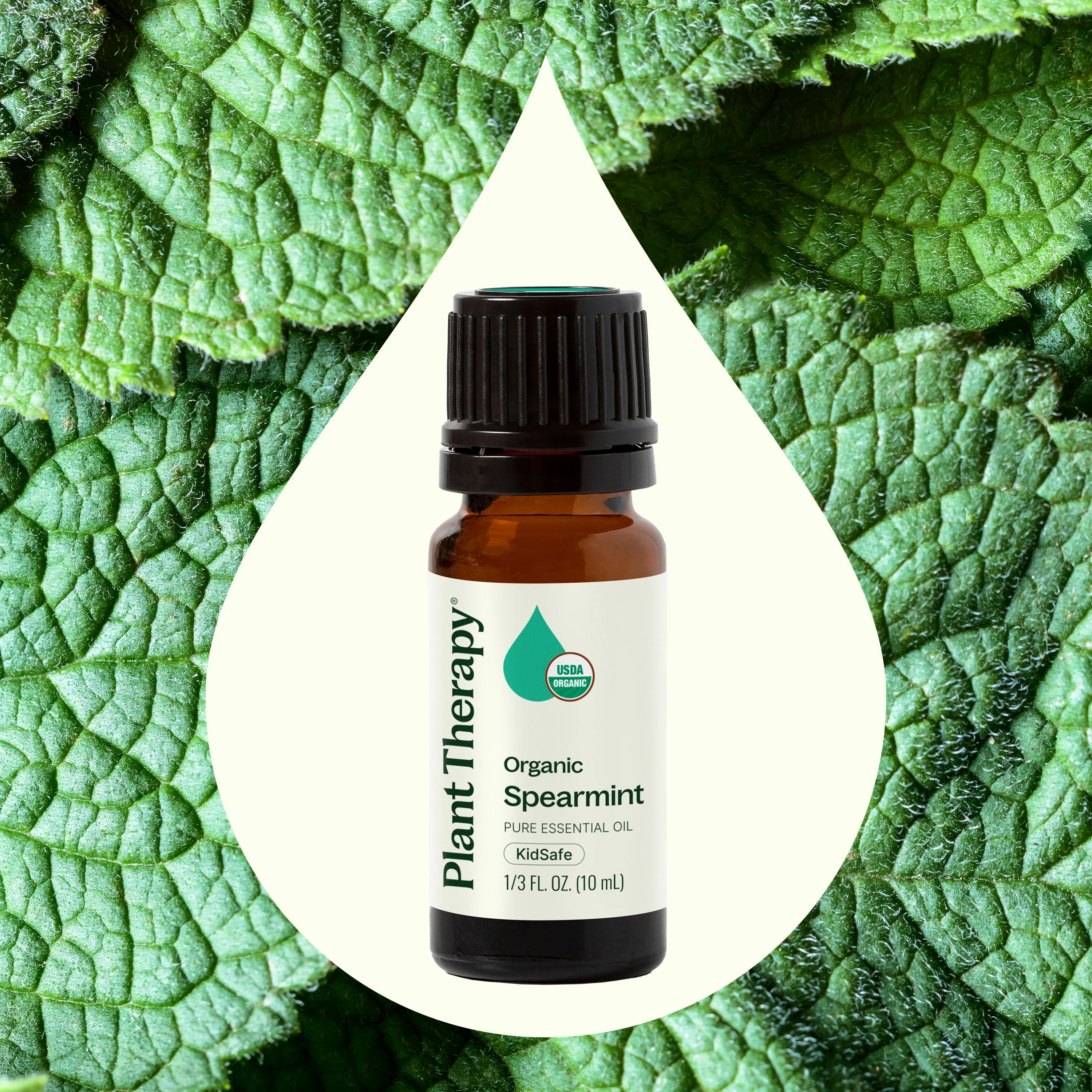 Organic Spearmint Essential Oil - Image 2