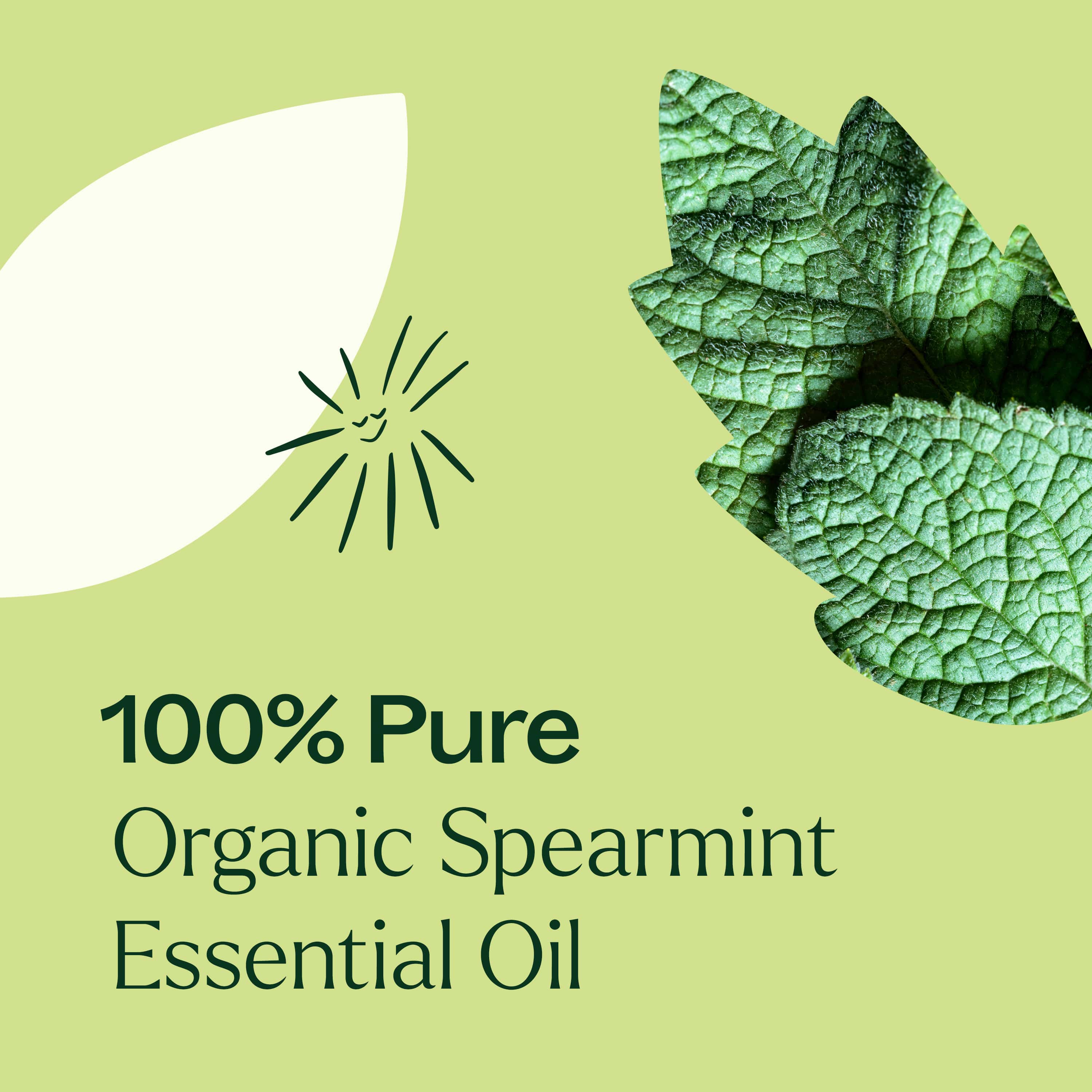 Organic Spearmint Essential Oil - Image 4