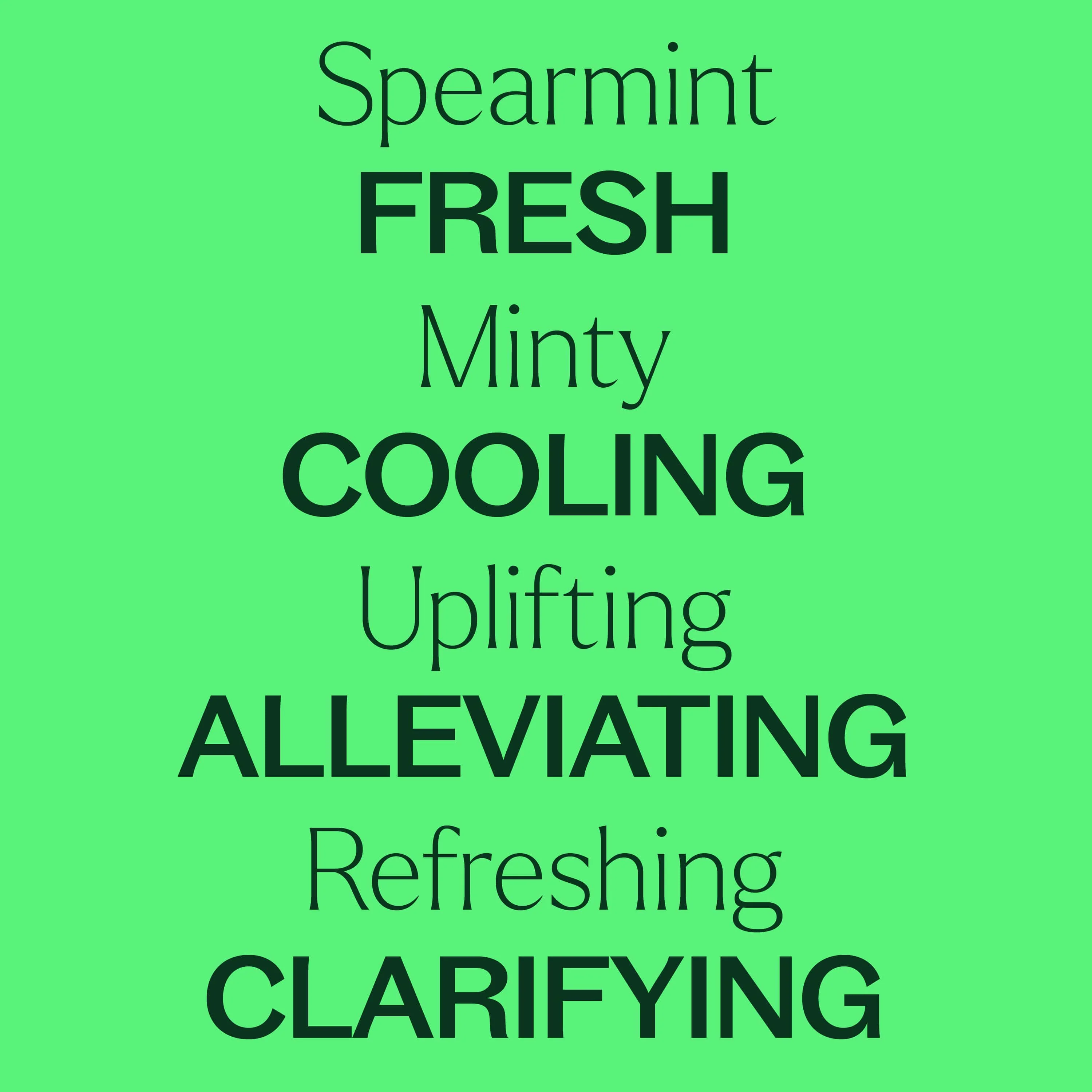 Organic Spearmint Essential Oil - Image 5