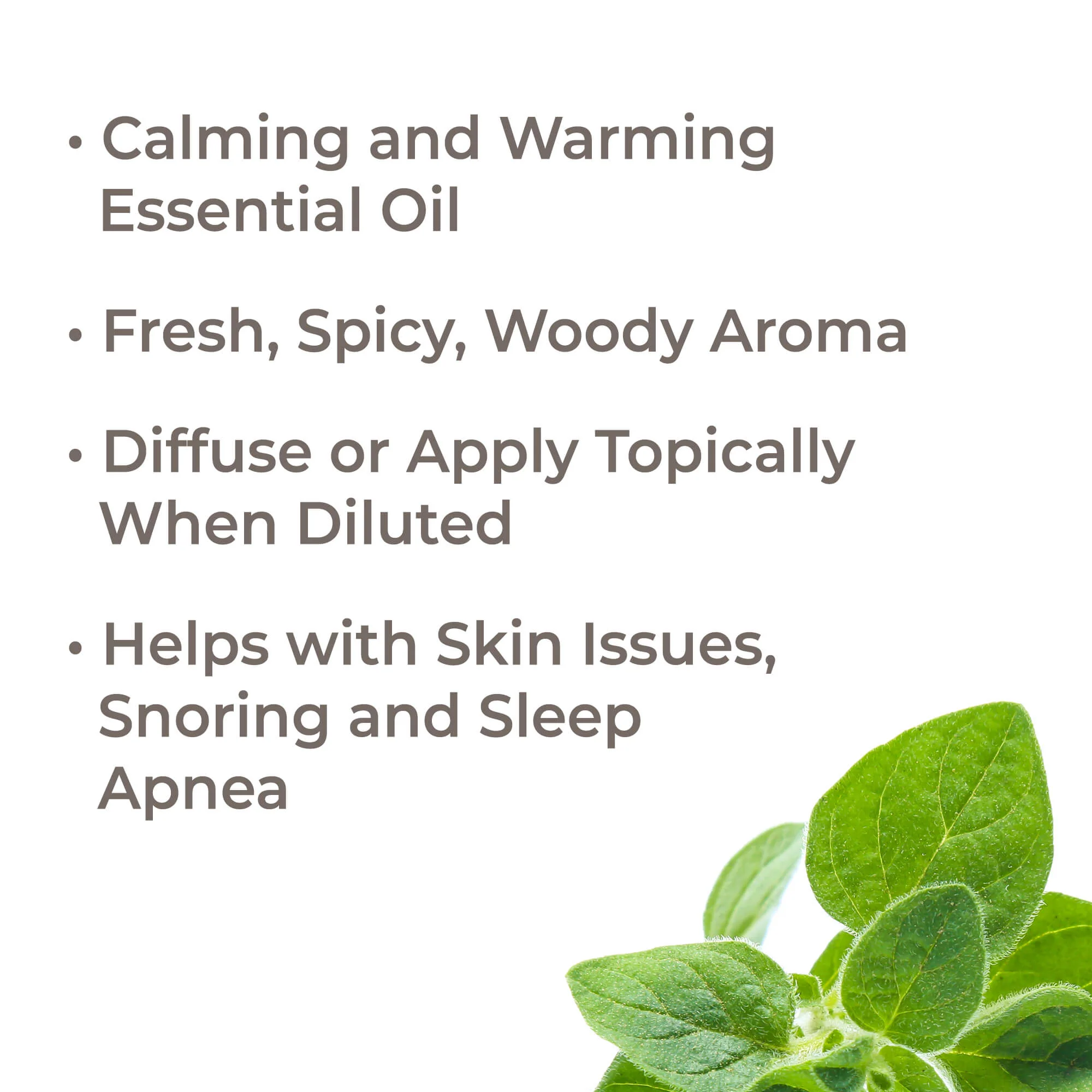 Organic Sweet Marjoram Essential Oil - Image 2