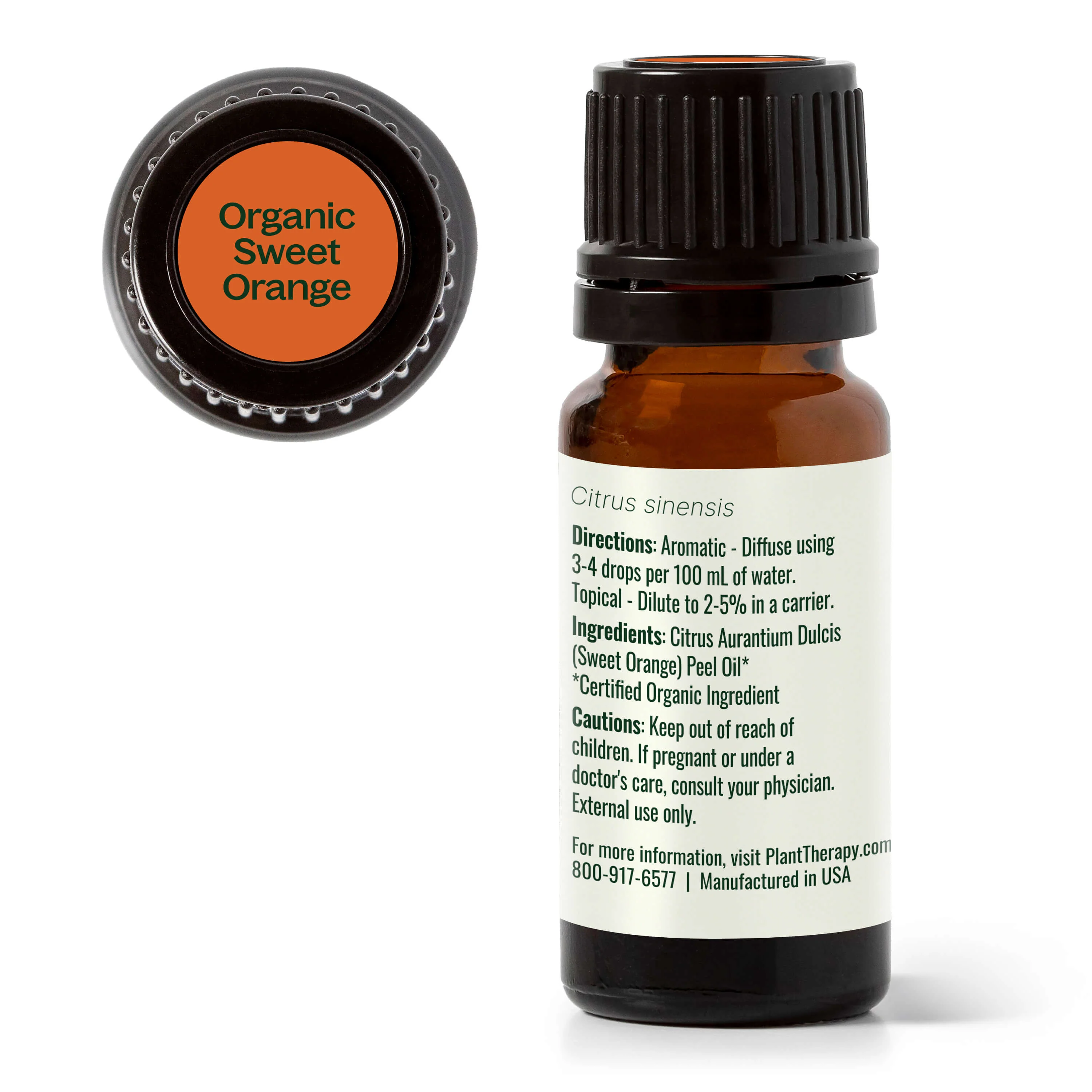 Organic Sweet Orange Essential Oil - Image 13