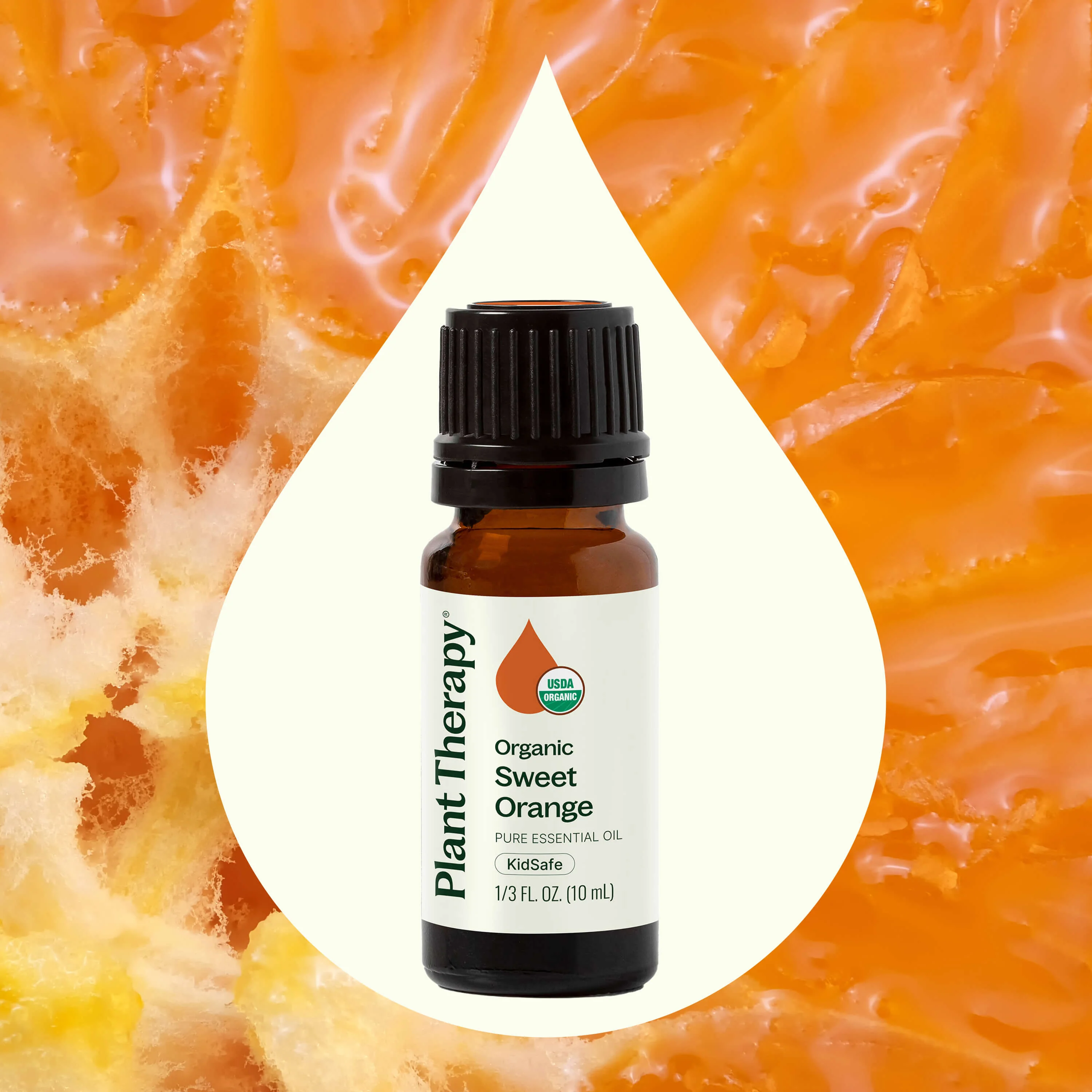 Organic Sweet Orange Essential Oil - Image 2