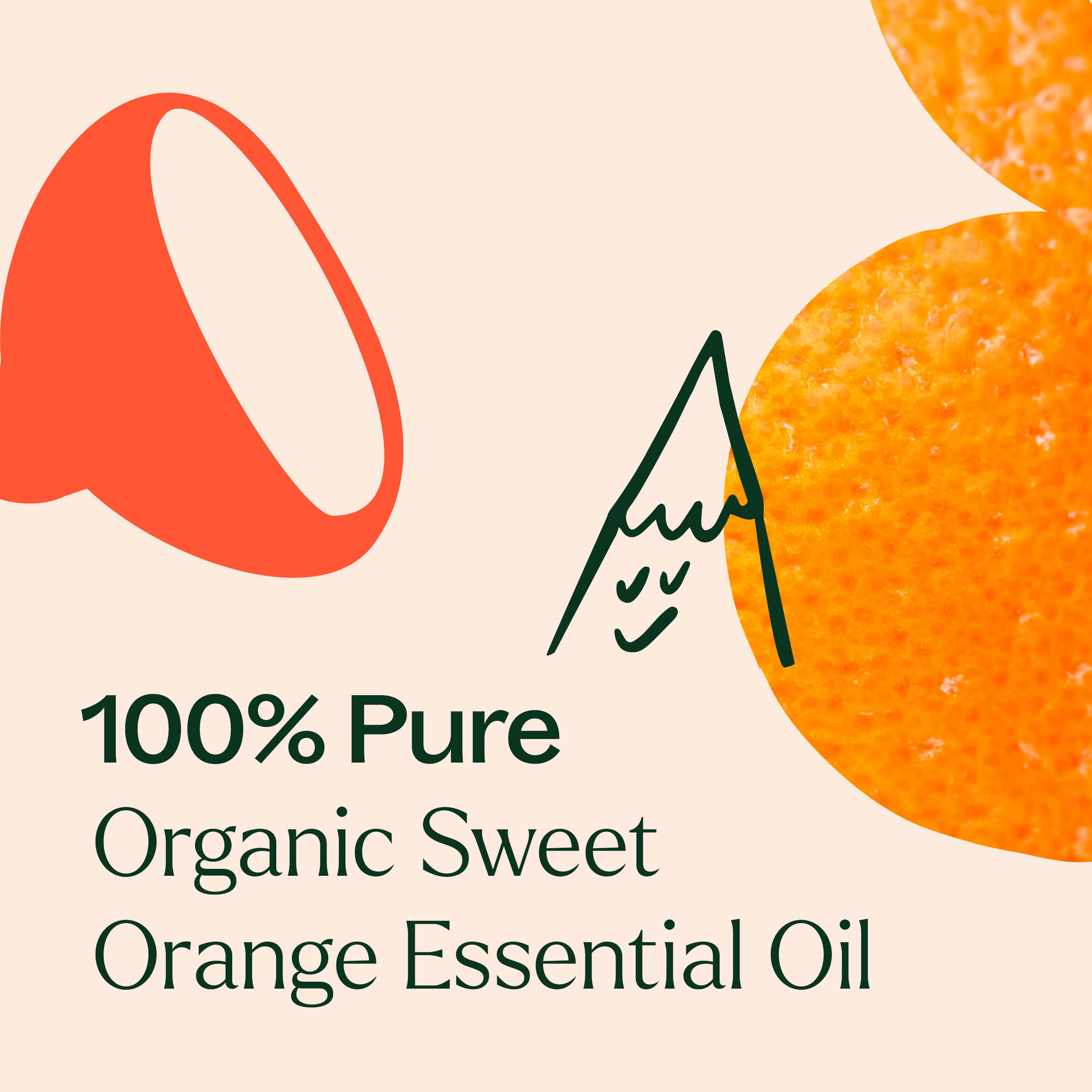 Organic Sweet Orange Essential Oil - Image 5