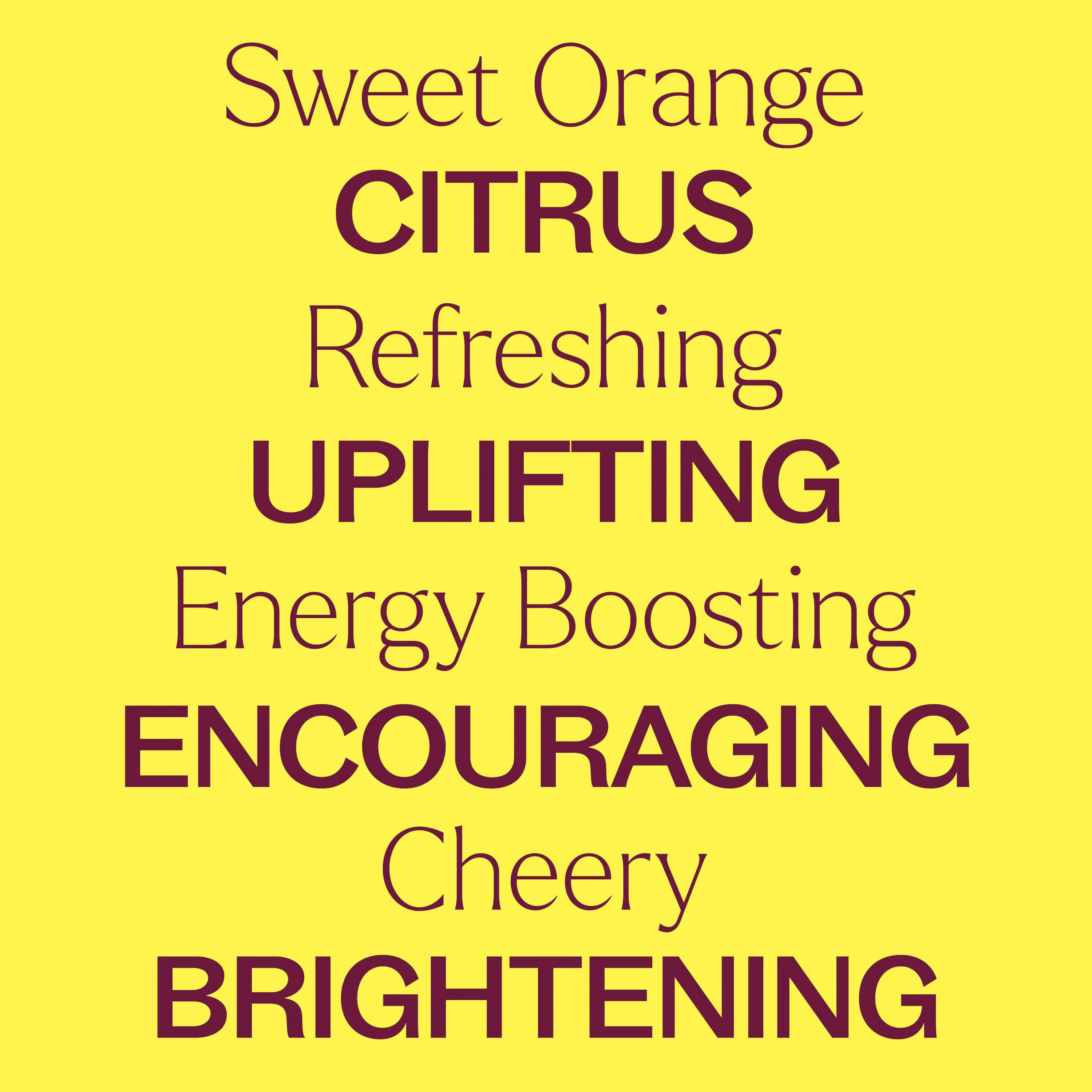 Organic Sweet Orange Essential Oil - Image 7