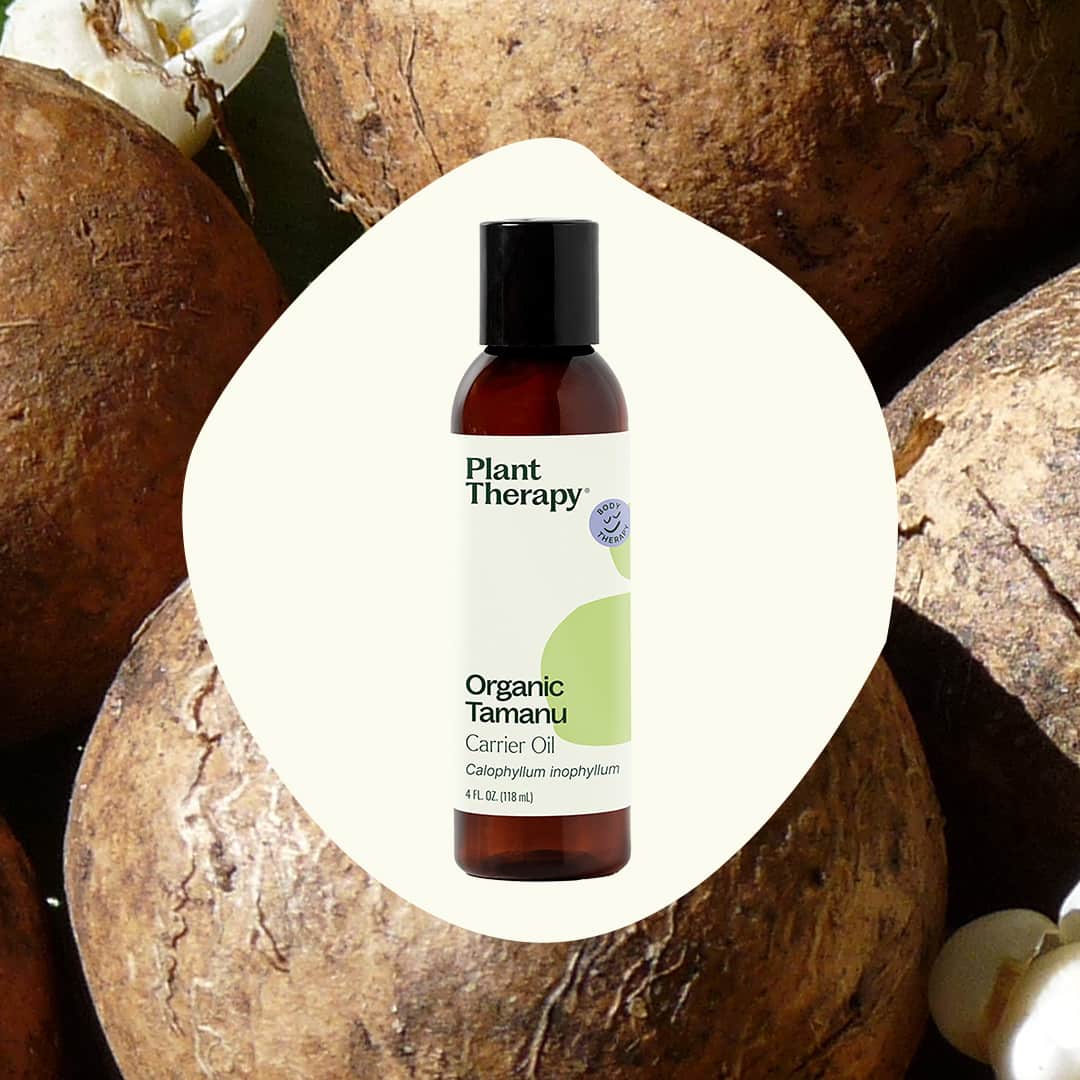 Organic Tamanu Carrier Oil 4 oz - Image 2