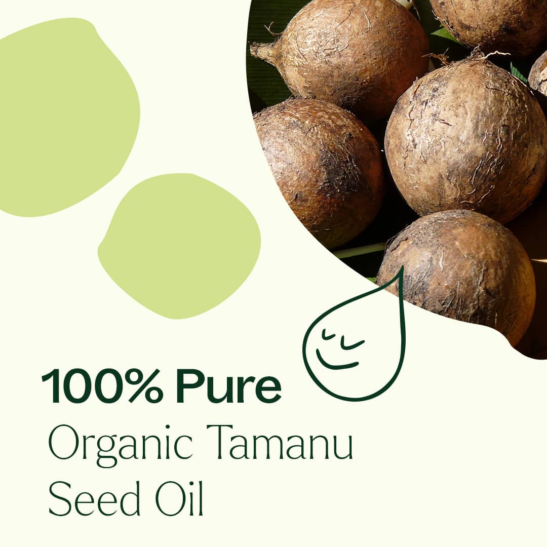 Organic Tamanu Carrier Oil 4 oz - Image 6