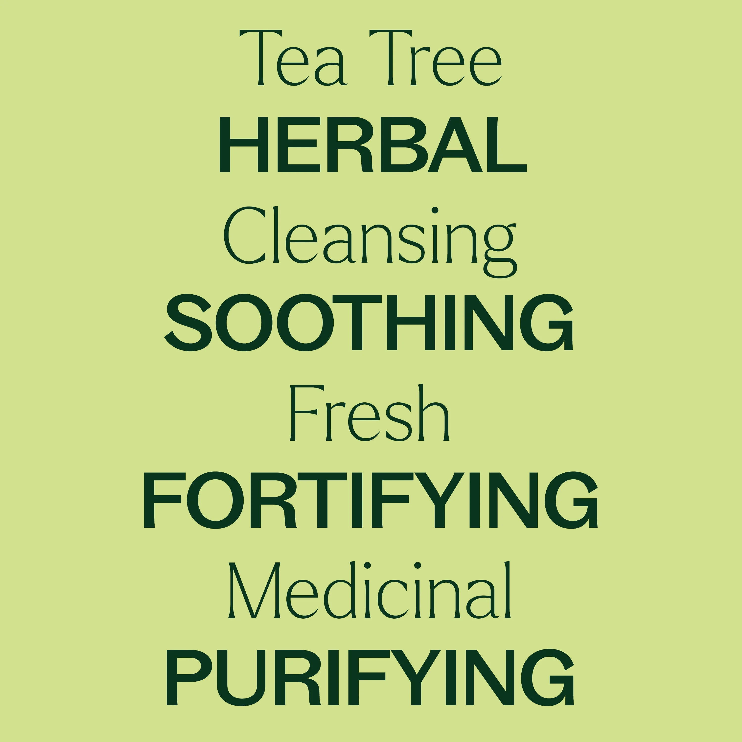 Organic Tea Tree Essential Oil - Image 3