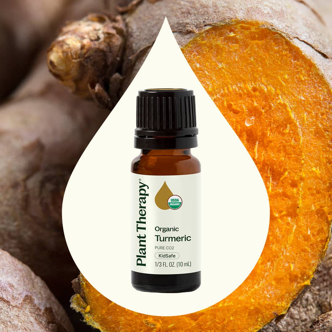 Organic Turmeric CO2 Extract - Image 2
