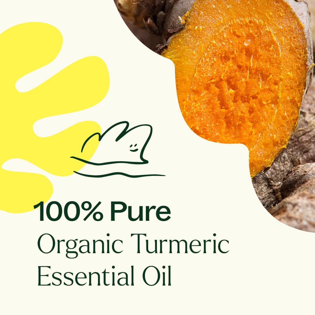 Organic Turmeric CO2 Extract - Image 5