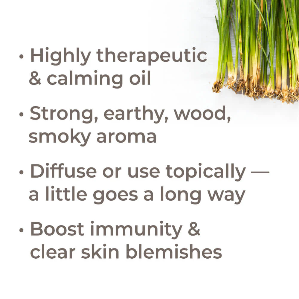 Organic Vetiver Essential Oil - Image 2