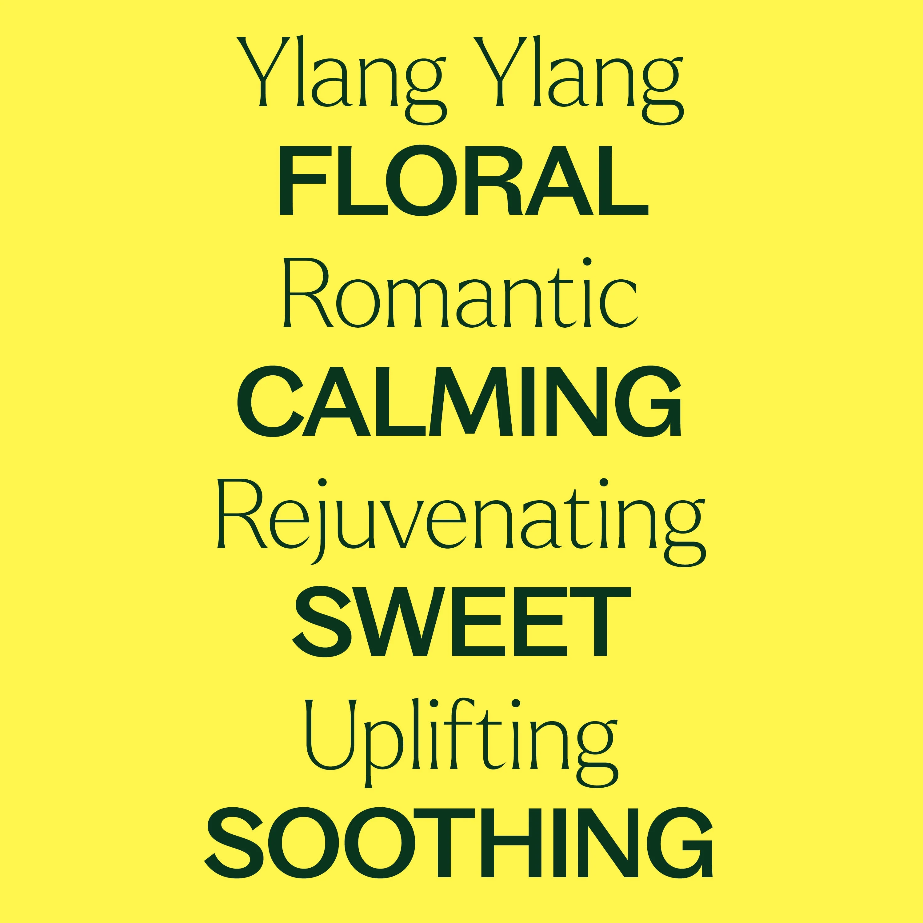 Organic Ylang Ylang Complete Essential Oil - Image 2