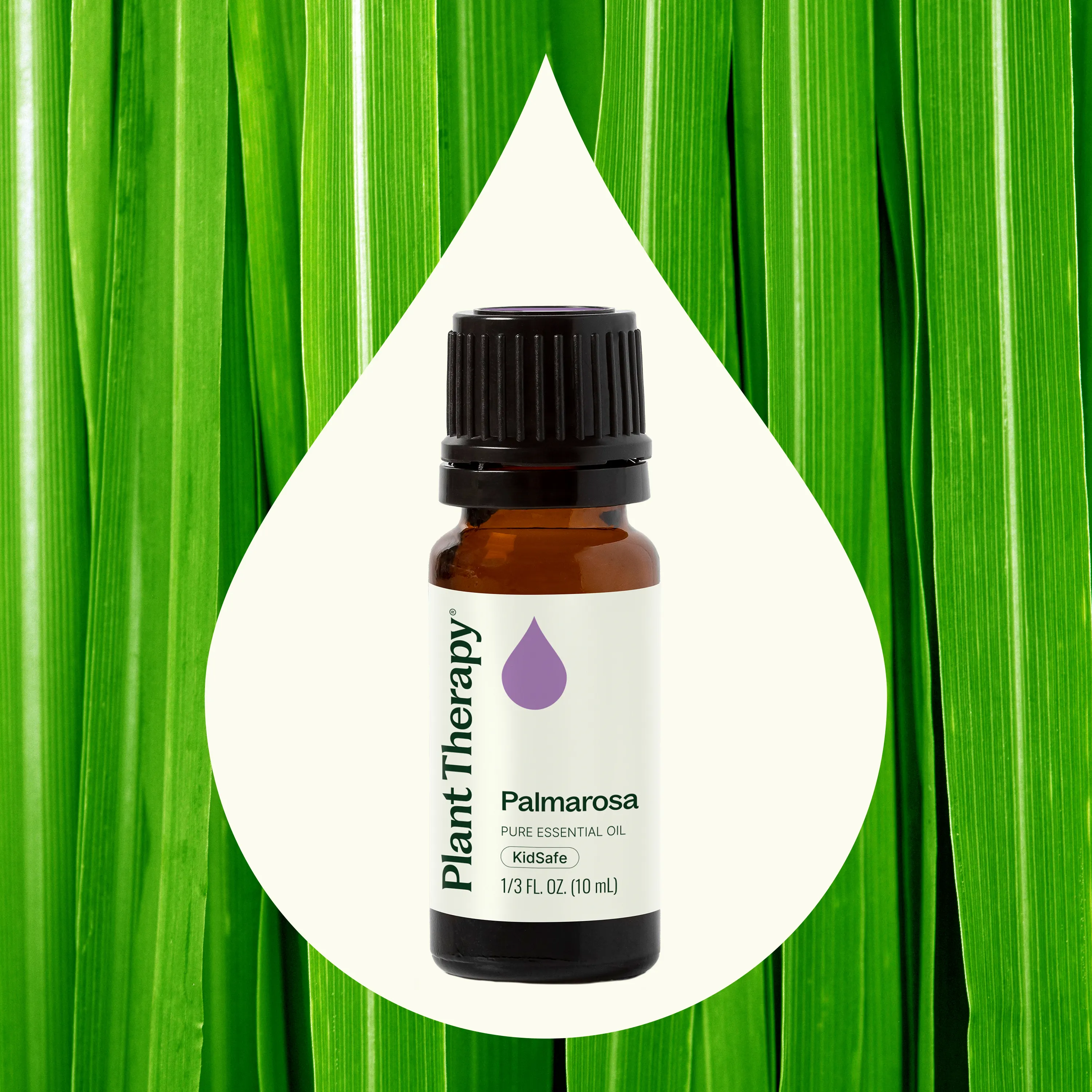Palmarosa Essential Oil - Image 2