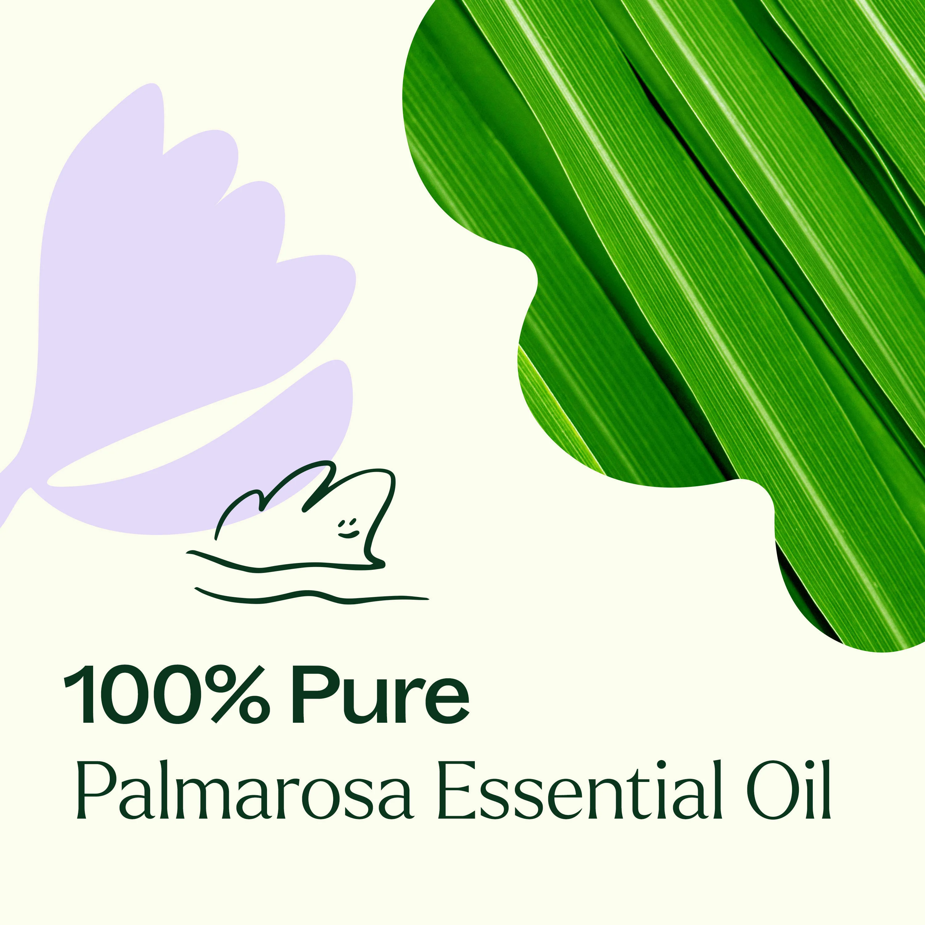 Palmarosa Essential Oil - Image 4