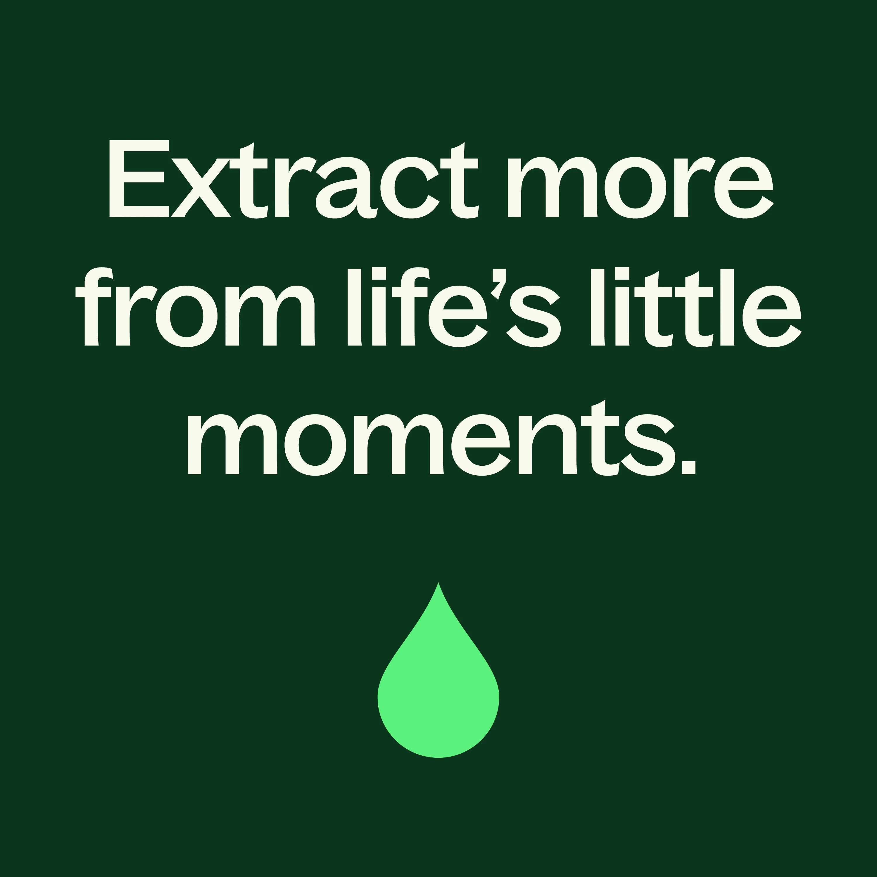 Palmarosa Essential Oil - Image 7