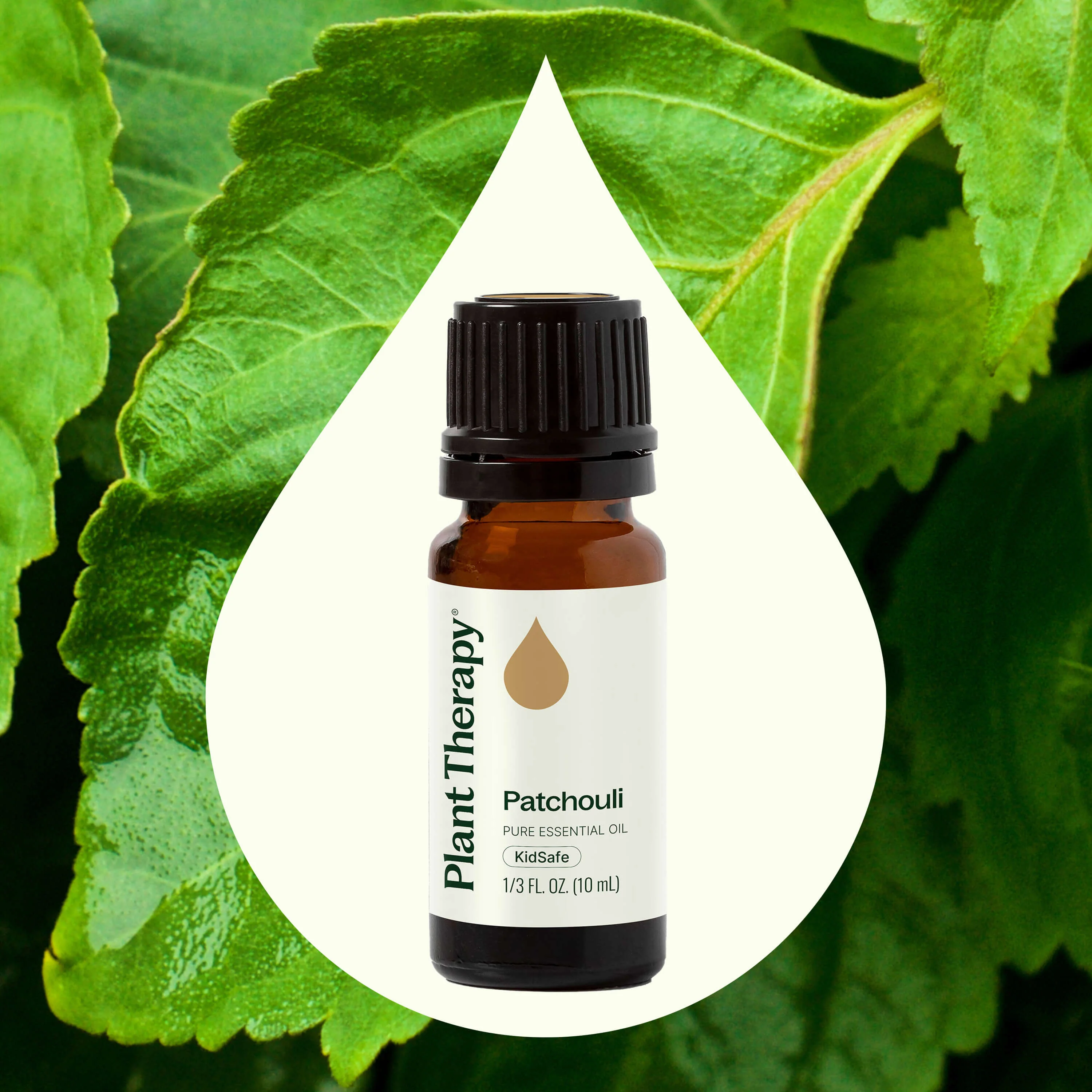 Patchouli Essential Oil - Image 2