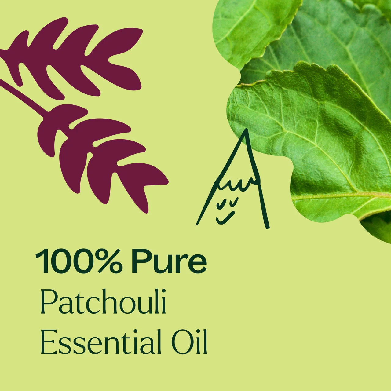 Patchouli Essential Oil - Image 5