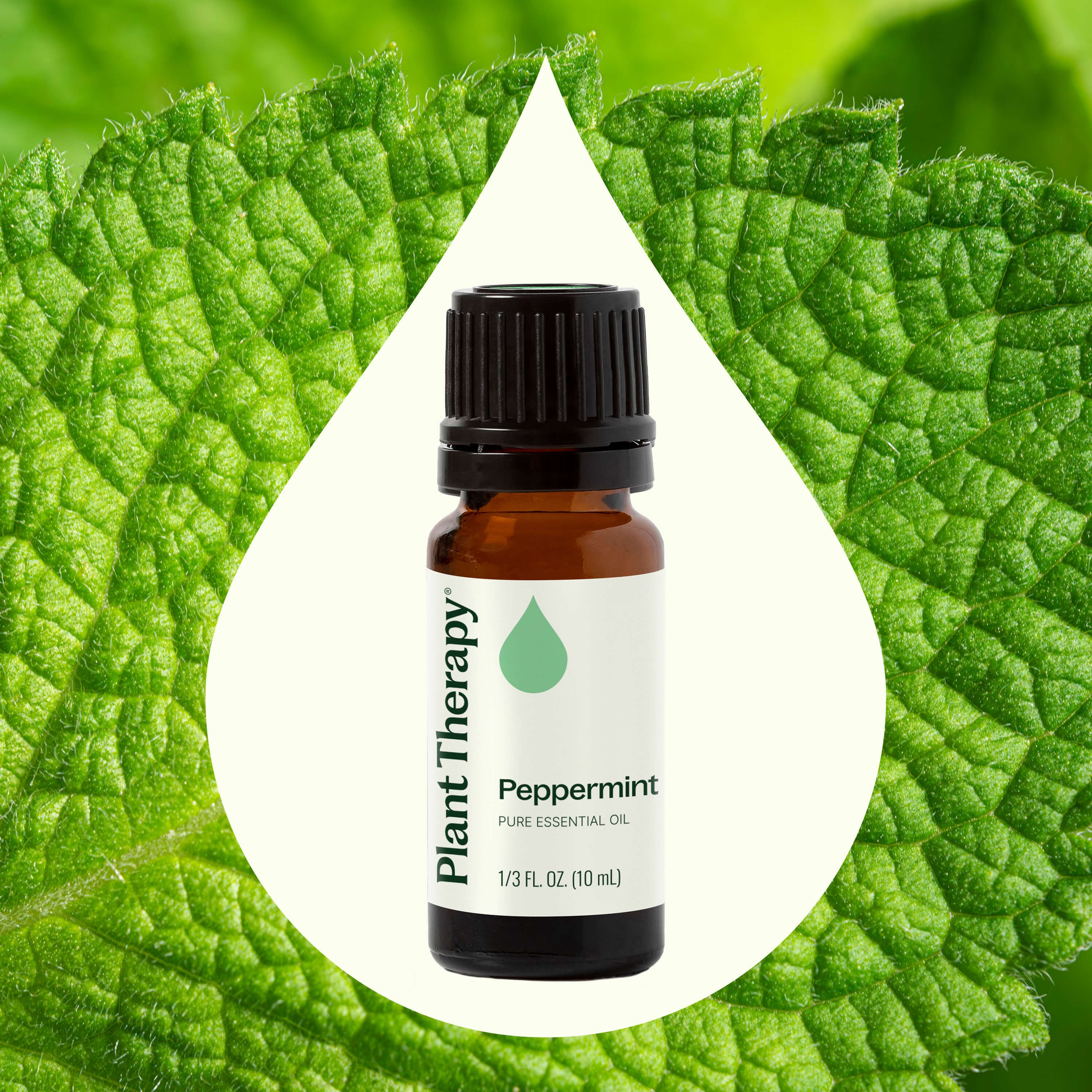 Peppermint Essential Oil - Image 2