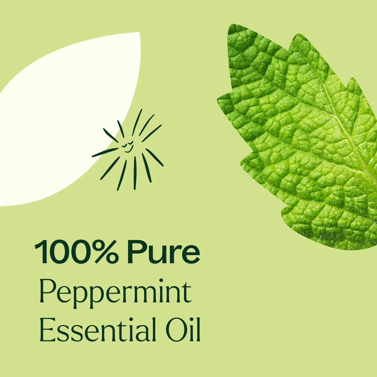 Peppermint Essential Oil - Image 4