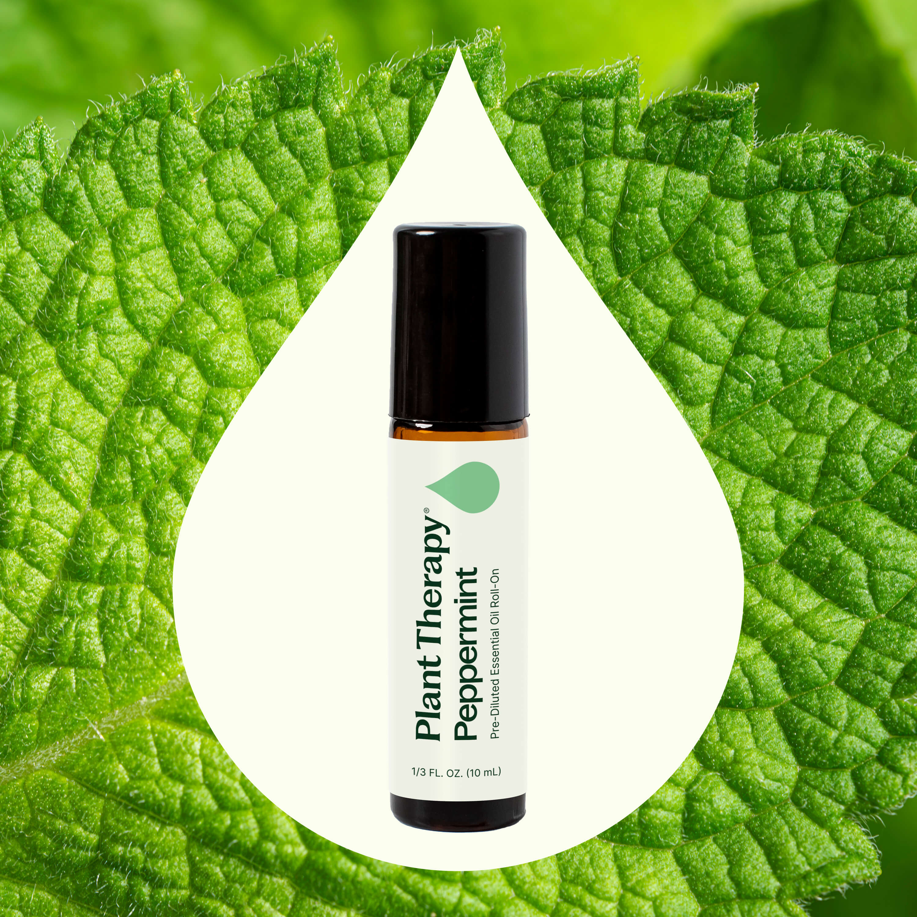 Peppermint Essential Oil Pre-Diluted Roll-On - Image 2