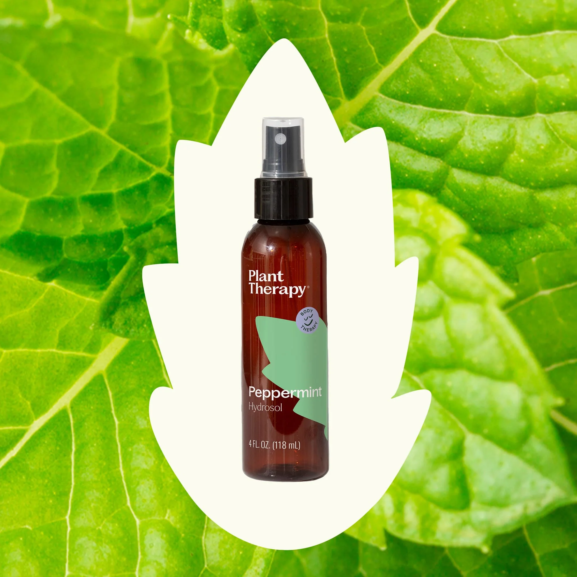 Peppermint Hydrosol - Image 2