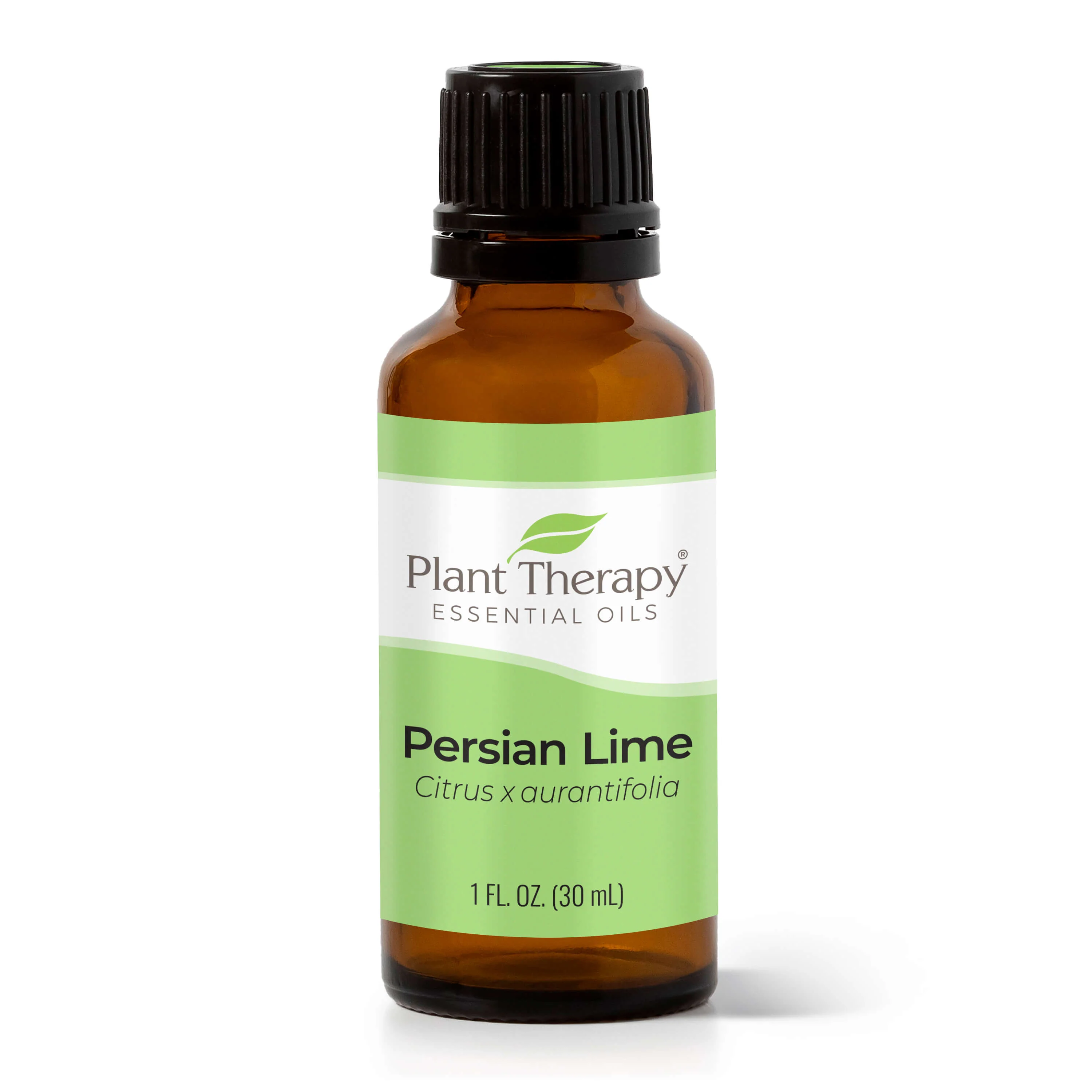 Persian Lime Essential Oil - Image 13