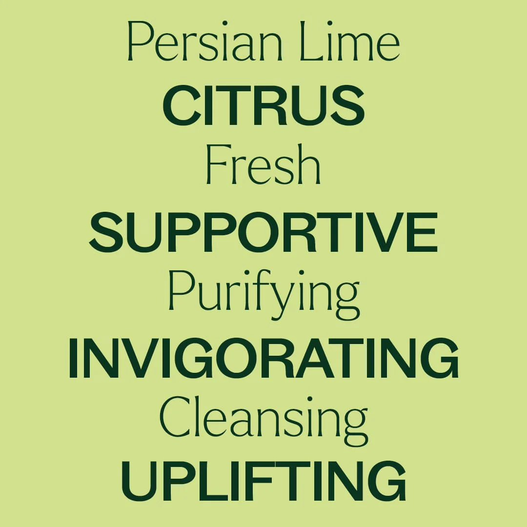 Persian Lime Essential Oil - Image 5