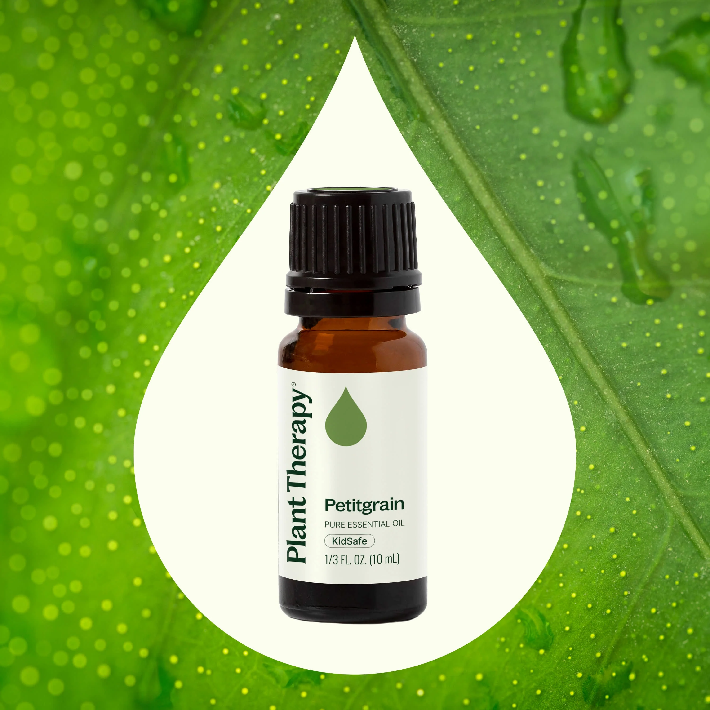 Petitgrain Essential Oil - Image 2