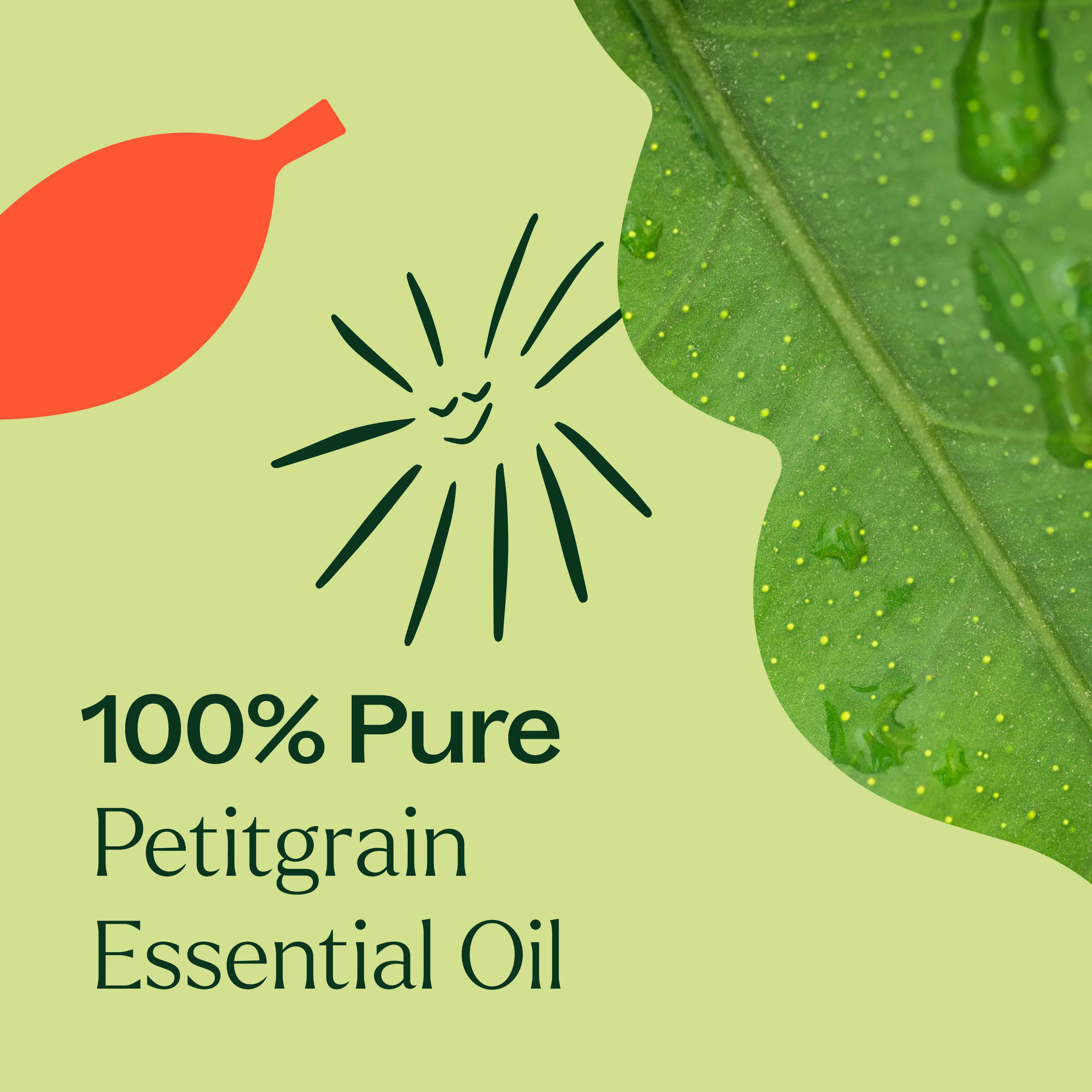 Petitgrain Essential Oil - Image 6