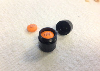 Pico Pulls (Waterproof) ~ - Image 15