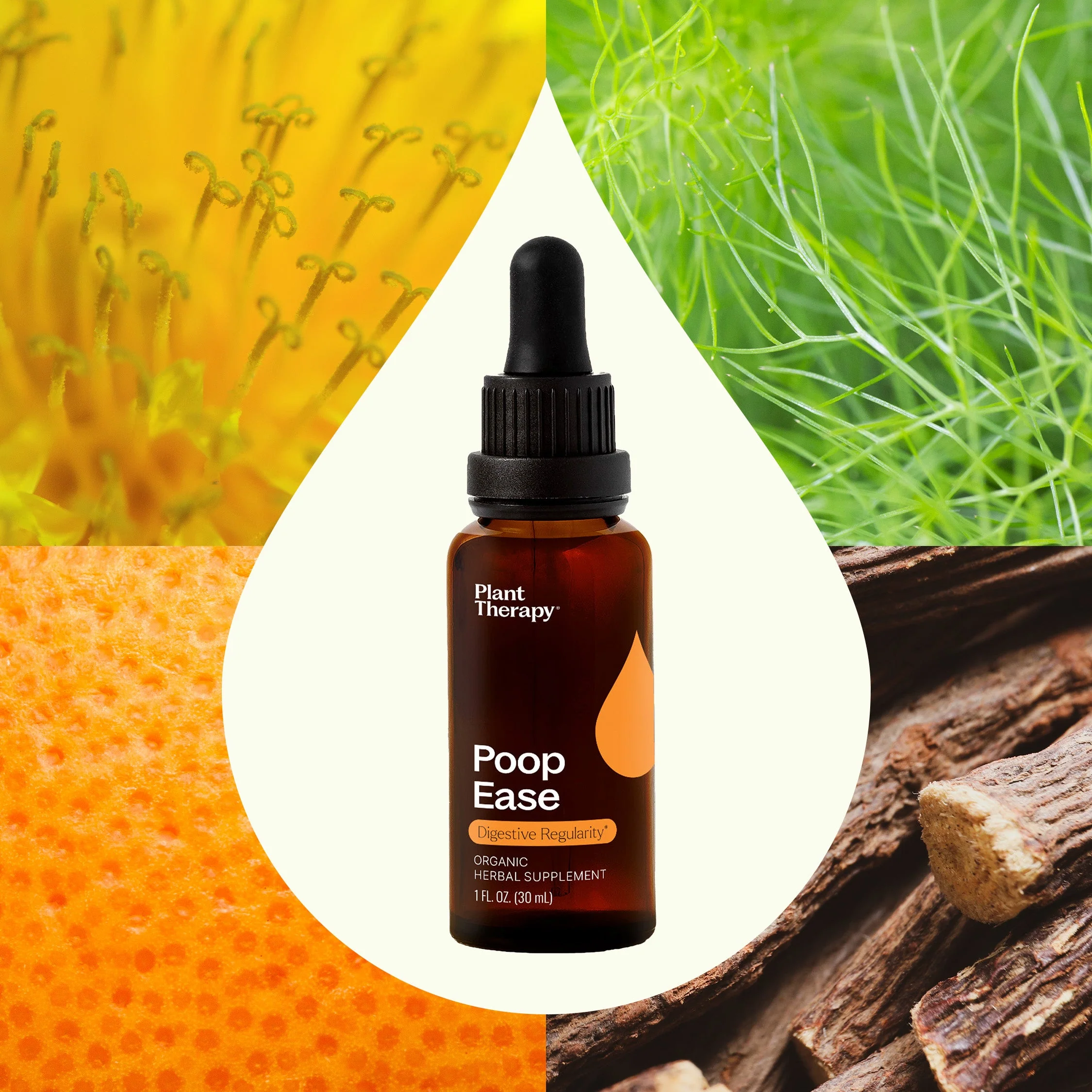 PoopEase Organic Herbal Supplement - Image 4