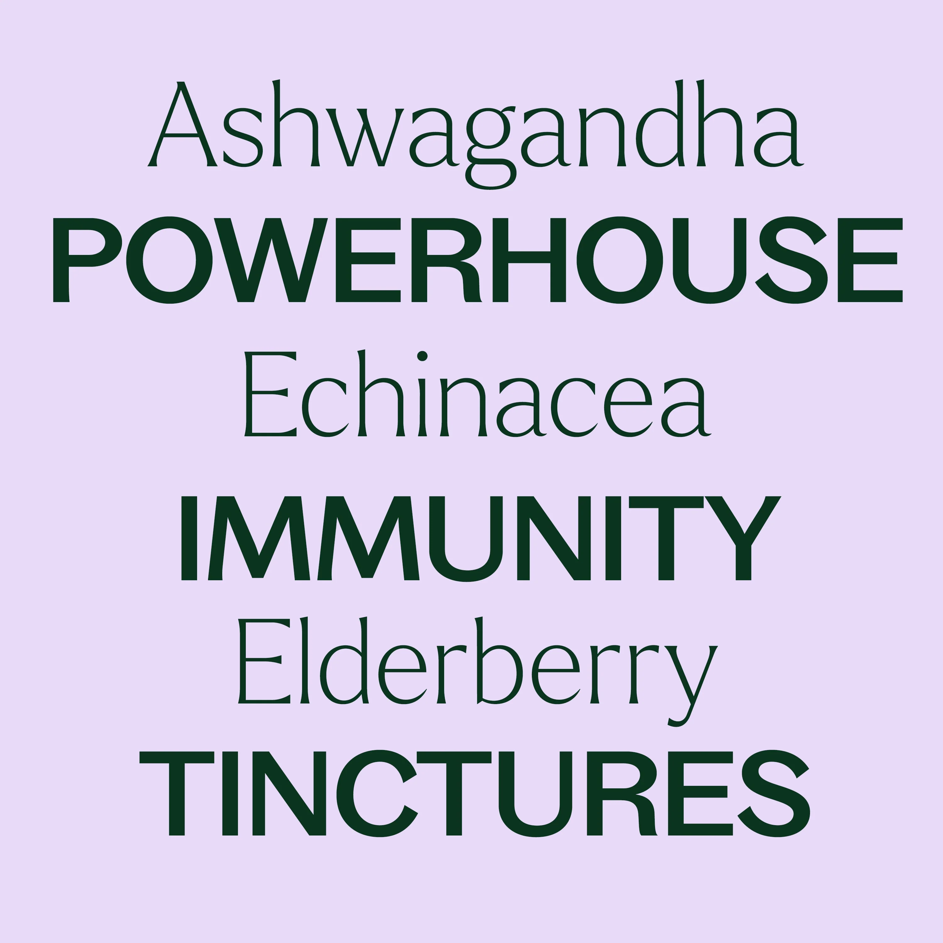 Powerhouse Immunity Tincture Trio Set - Image 3