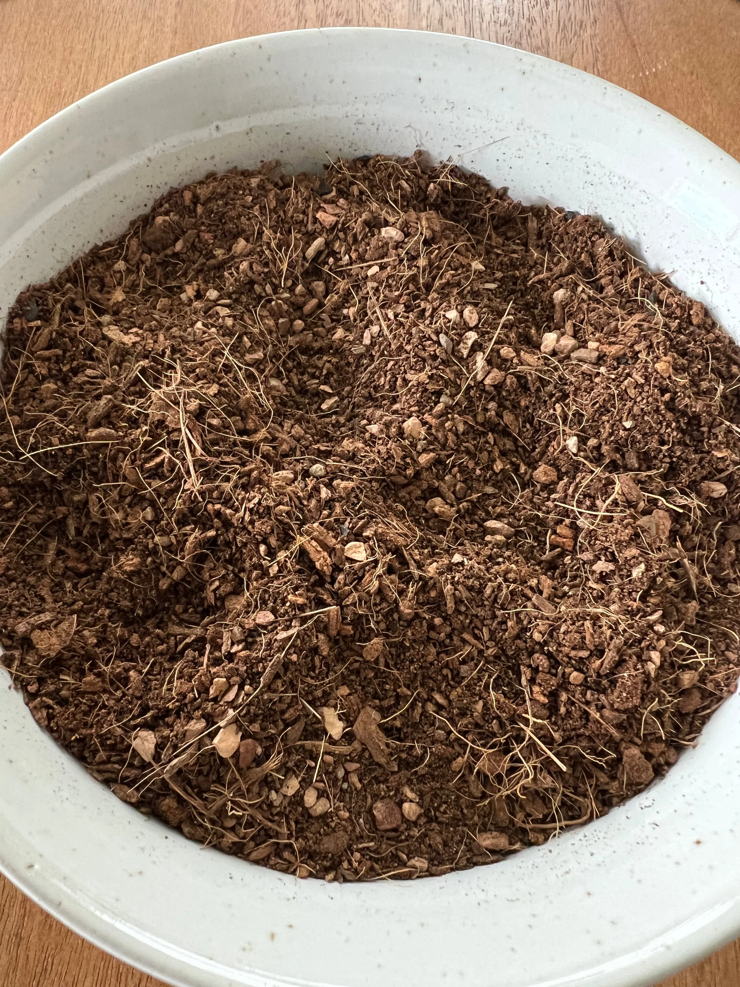 [Pre-Release Exclusive] Seedling and Propagation Mix - Image 3