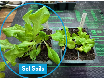 [Pre-Release Exclusive] Seedling and Propagation Mix - Image 7