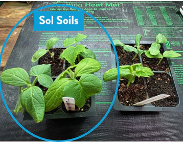 [Pre-Release Exclusive] Seedling and Propagation Mix - Image 8
