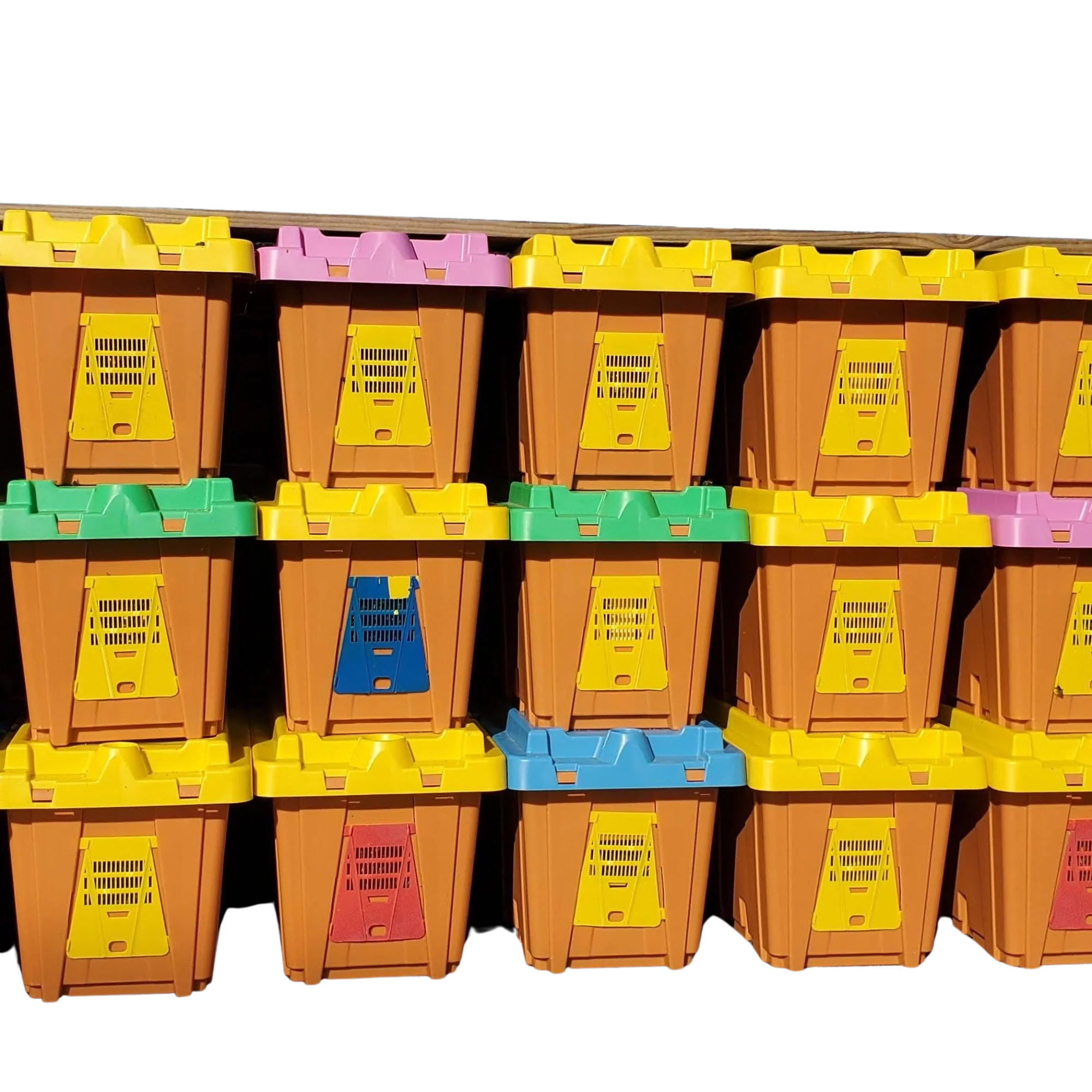 Pro-Nuc - 5 Frame Deep, Plastic Nucleus Hive - Image 2