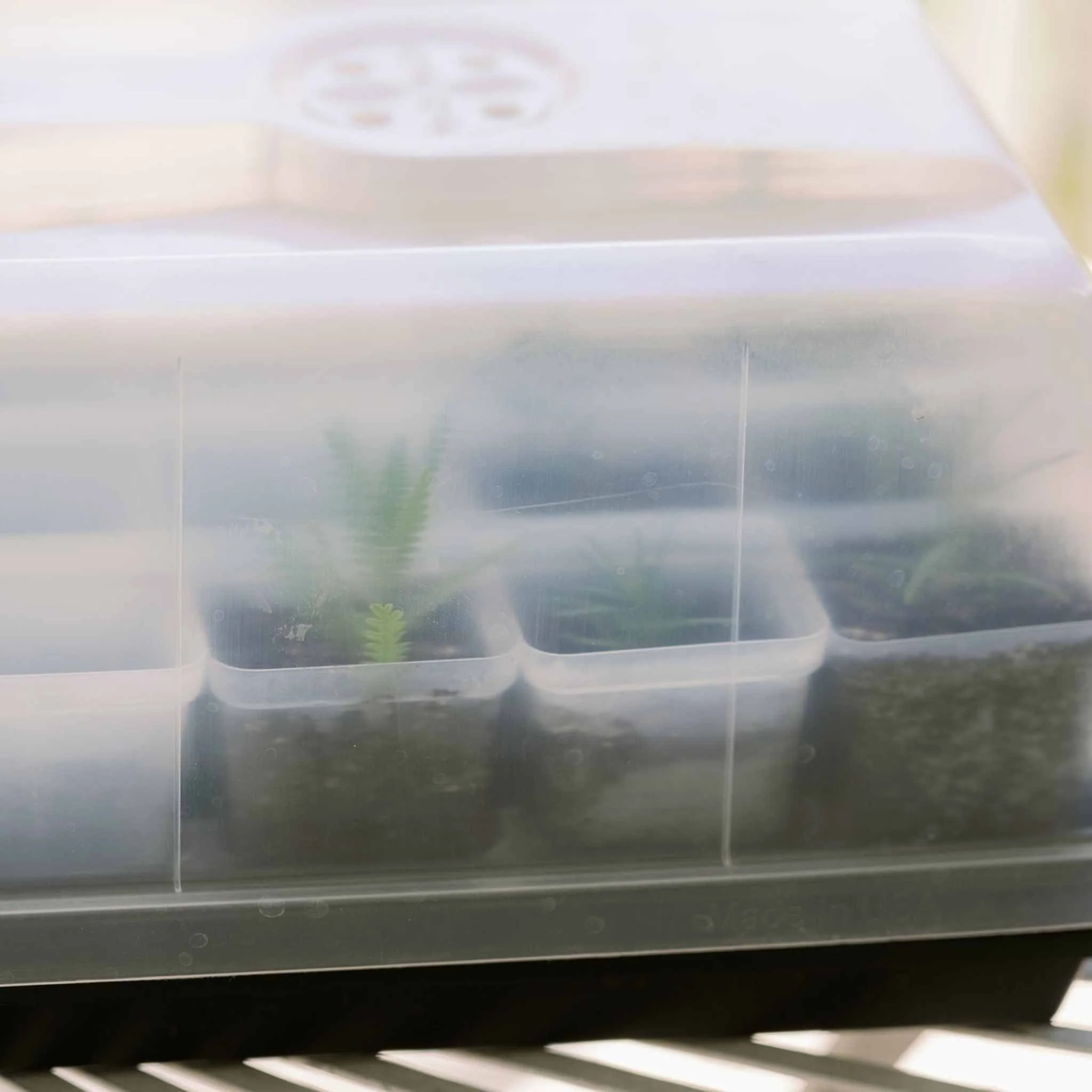 Propagation Kit | For Cuttings, Seedlings and More - Image 5