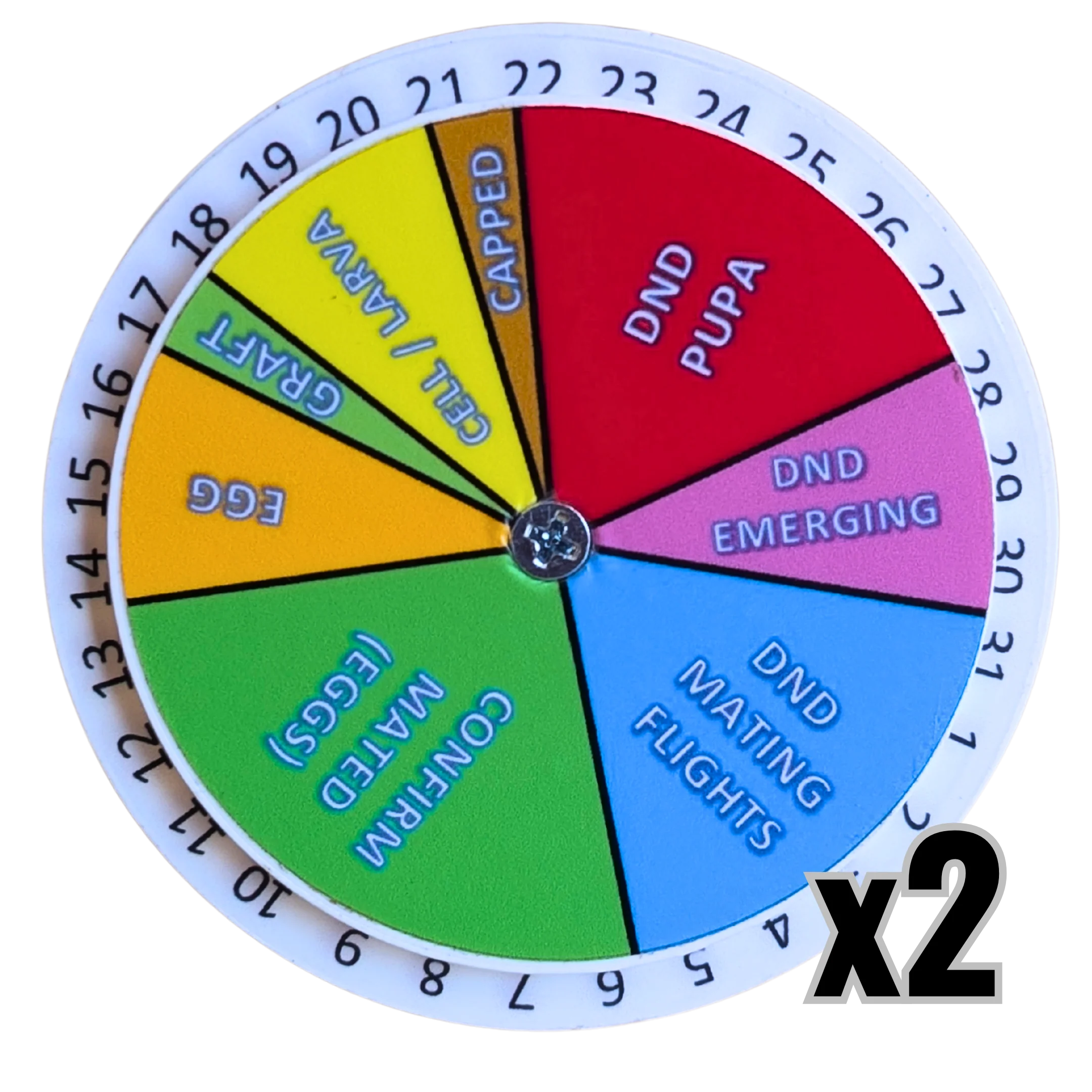 Queen Right Dial - Mating Indicator - Image 4