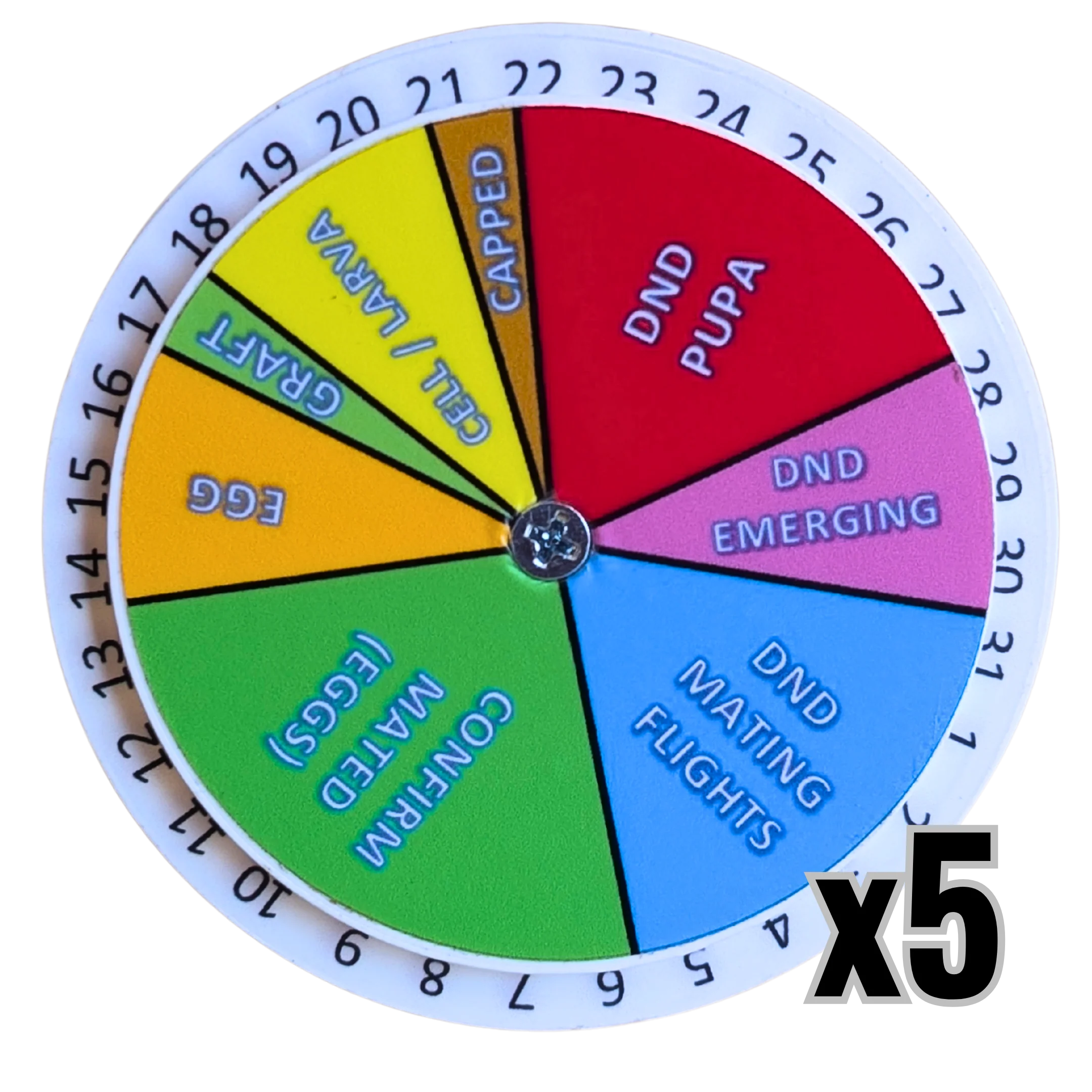 Queen Right Dial - Mating Indicator - Image 5