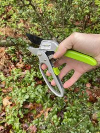 Ratchet Garden Pruning Shears Clippers - Image 6