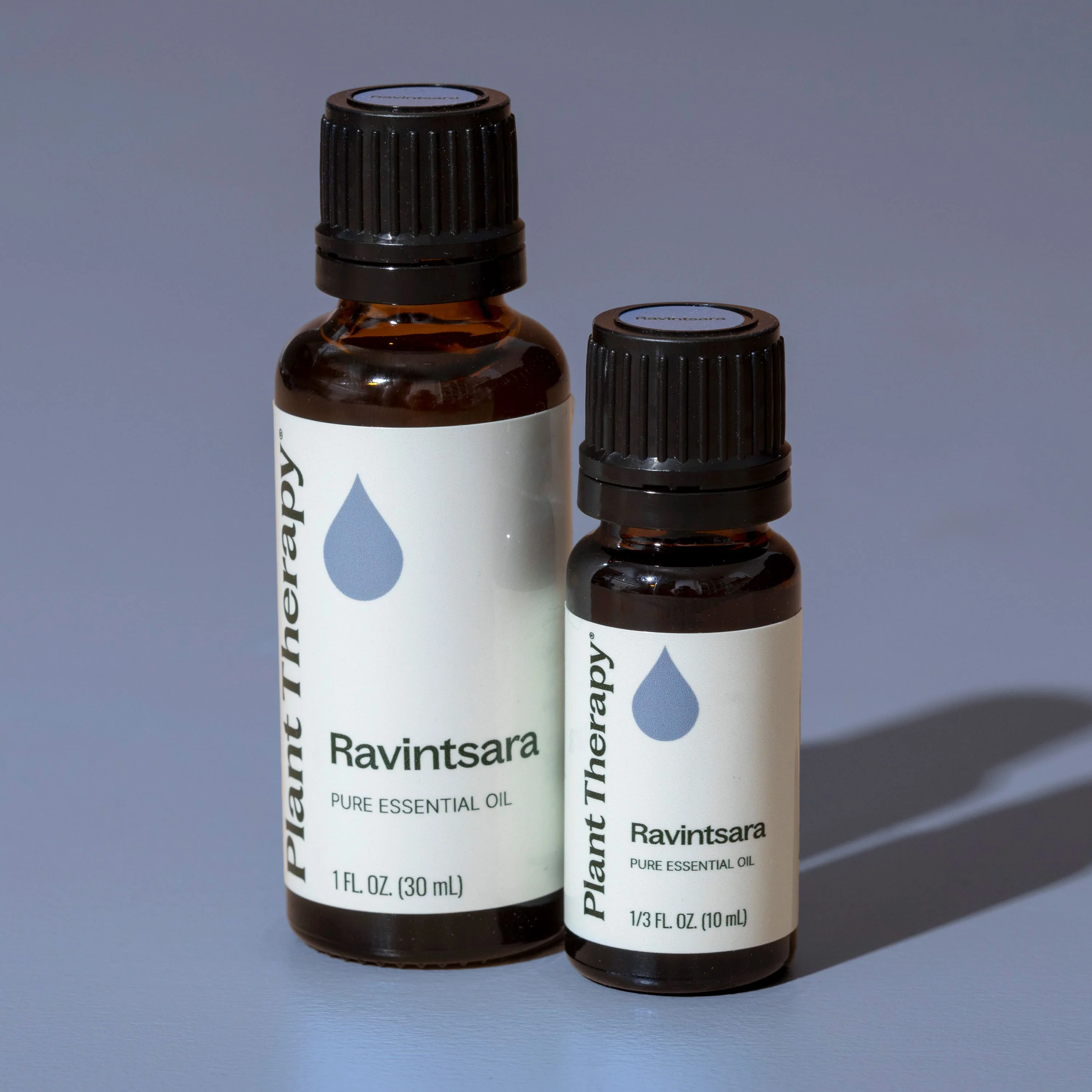 Ravintsara Essential Oil - Image 10
