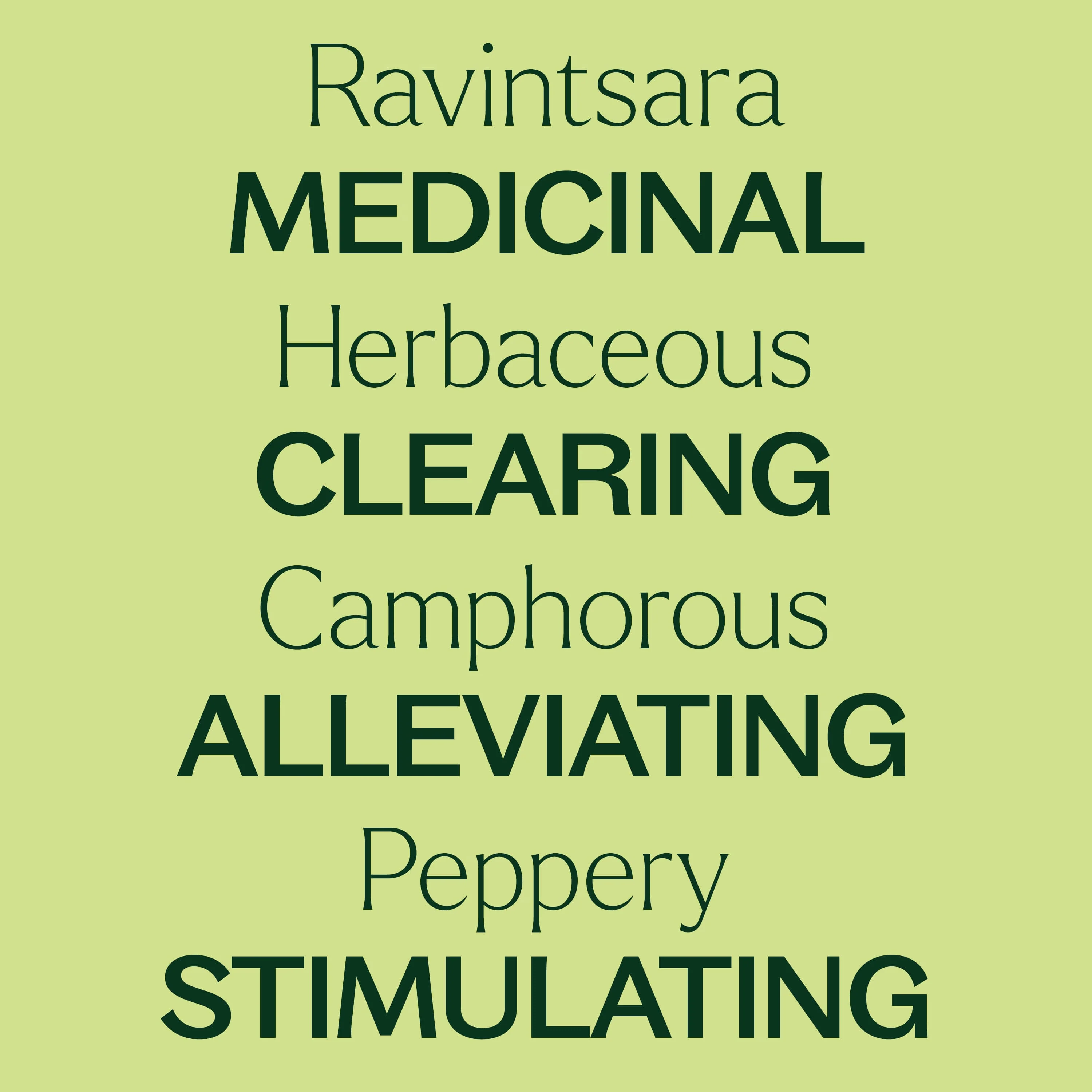 Ravintsara Essential Oil - Image 4