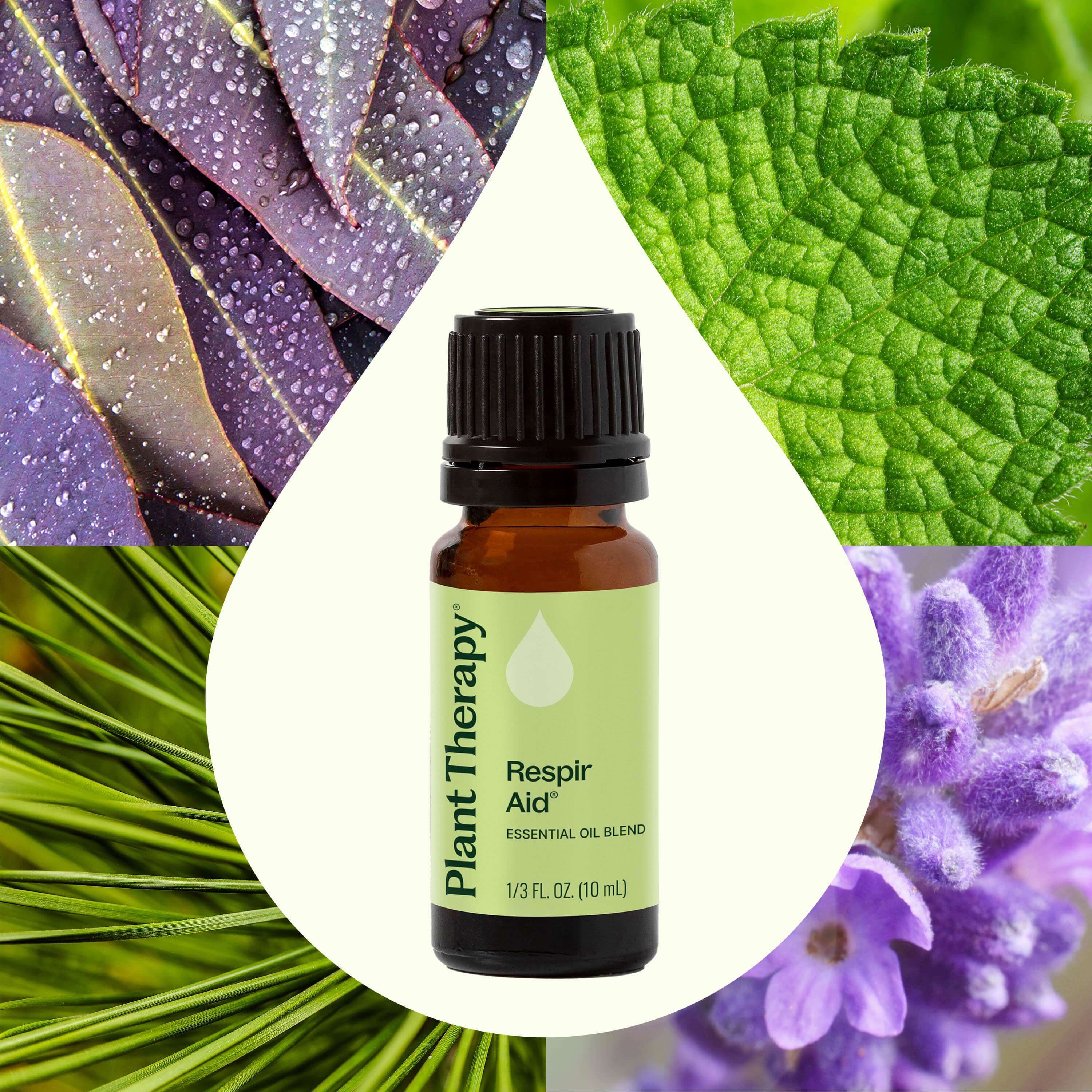 Respir Aid Essential Oil Blend - Image 2