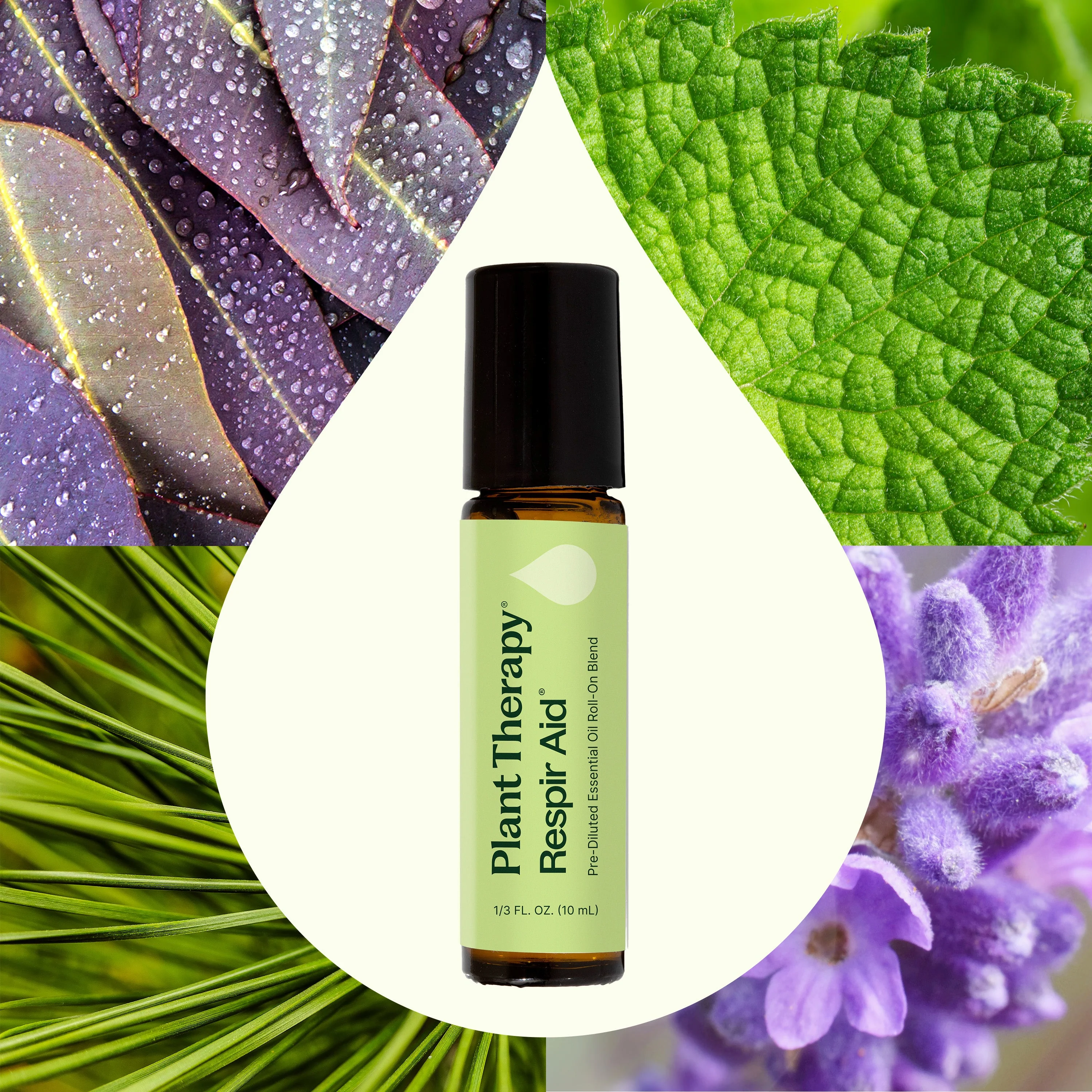 Respir Aid Essential Oil Blend Pre-Diluted Roll-On - Image 3