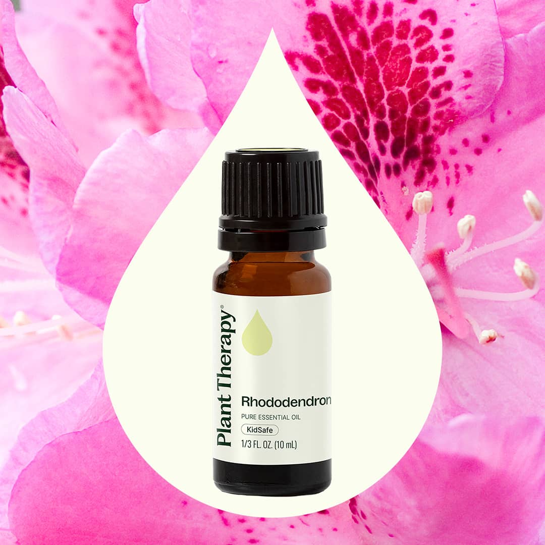 Rhododendron Essential Oil - Image 2