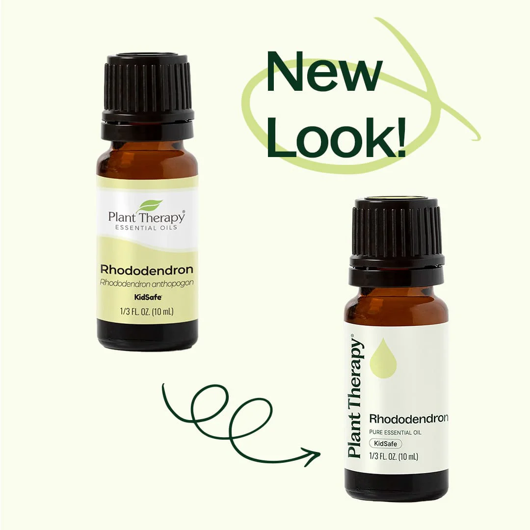 Rhododendron Essential Oil - Image 3