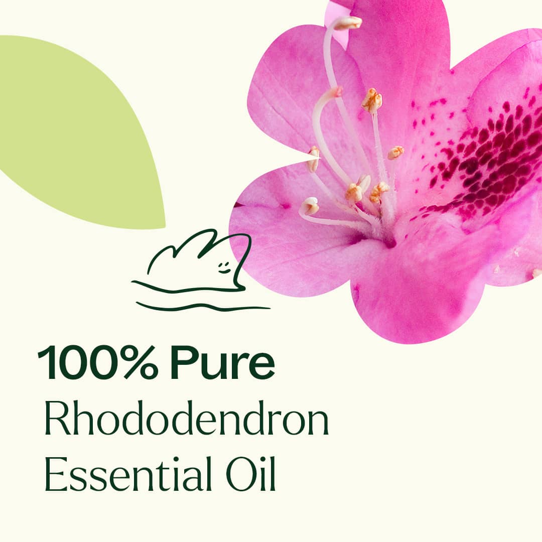 Rhododendron Essential Oil - Image 5